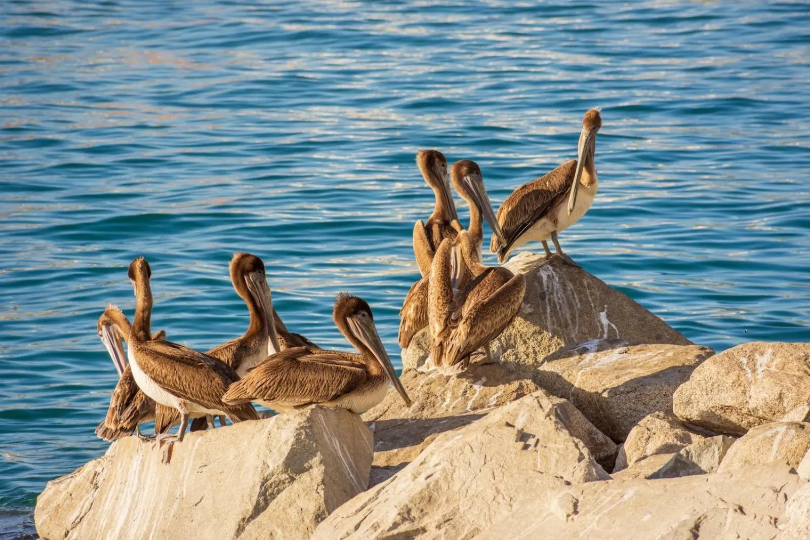 Nearby landmark in Morro Bay Beach Inn