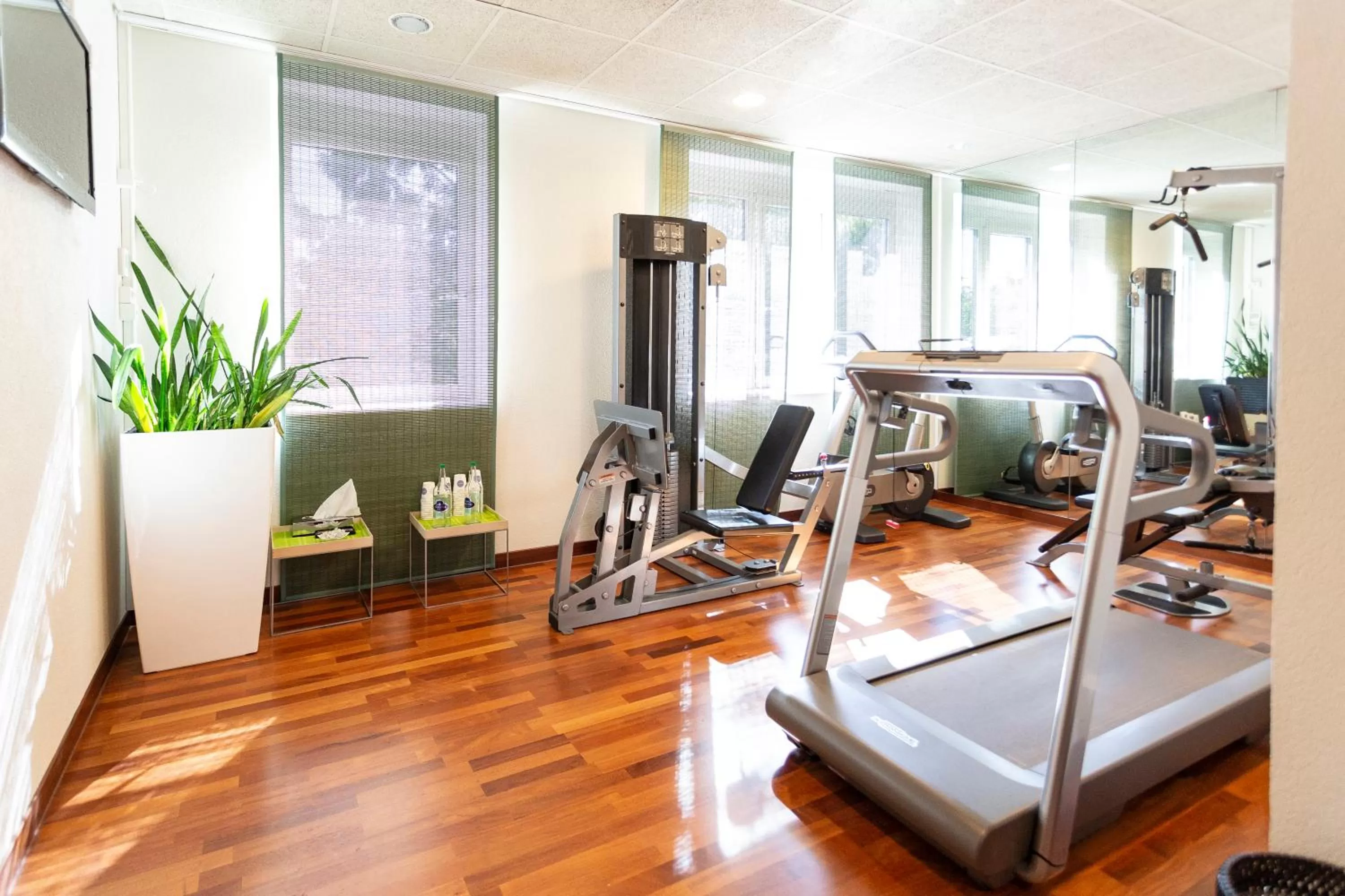 Fitness centre/facilities in Novotel Suites Genève Aéroport