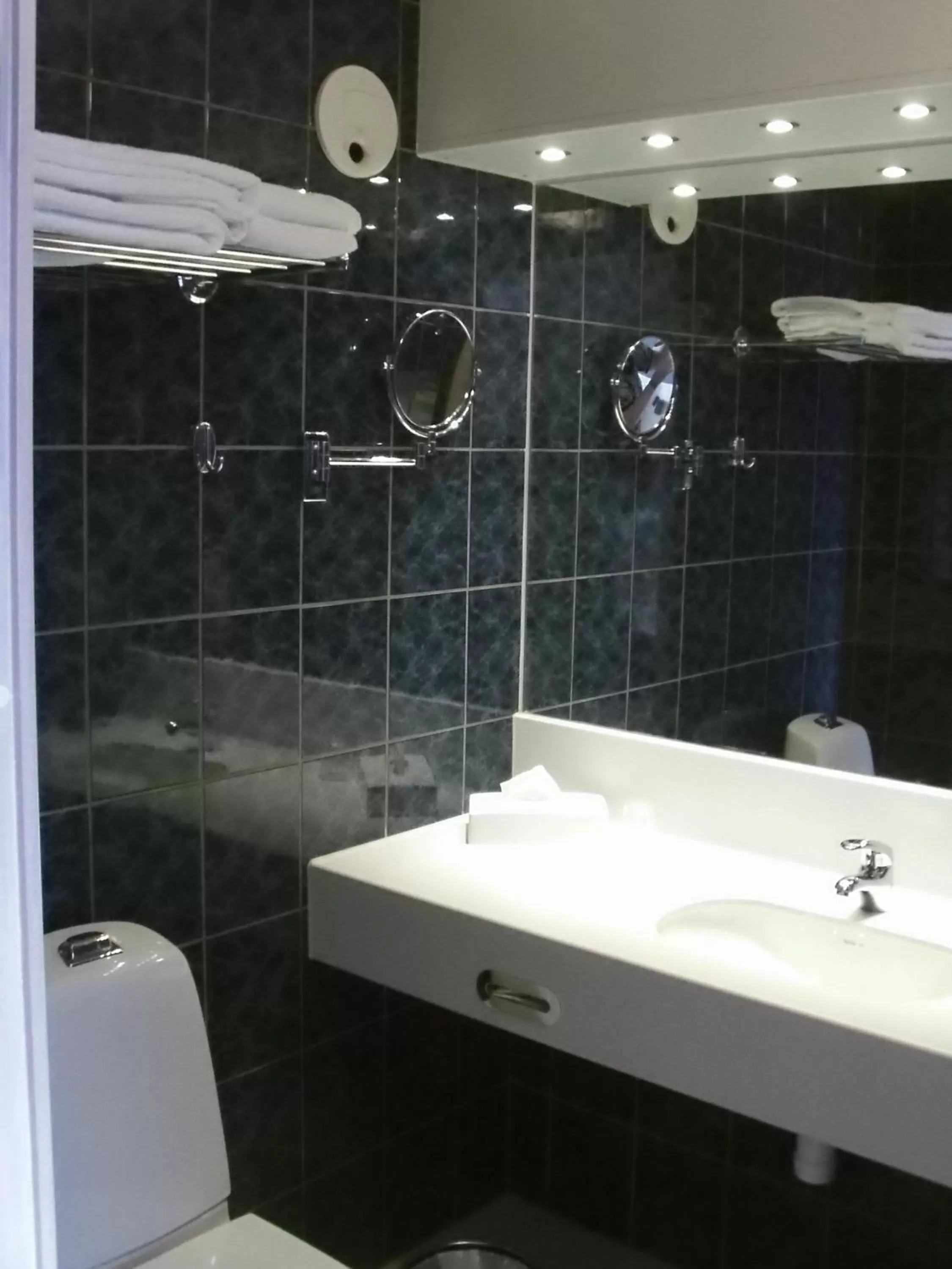 Toilet in Hotell Erikslund