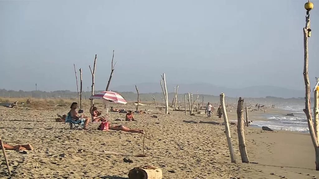 Beach in I Levrieri b&b