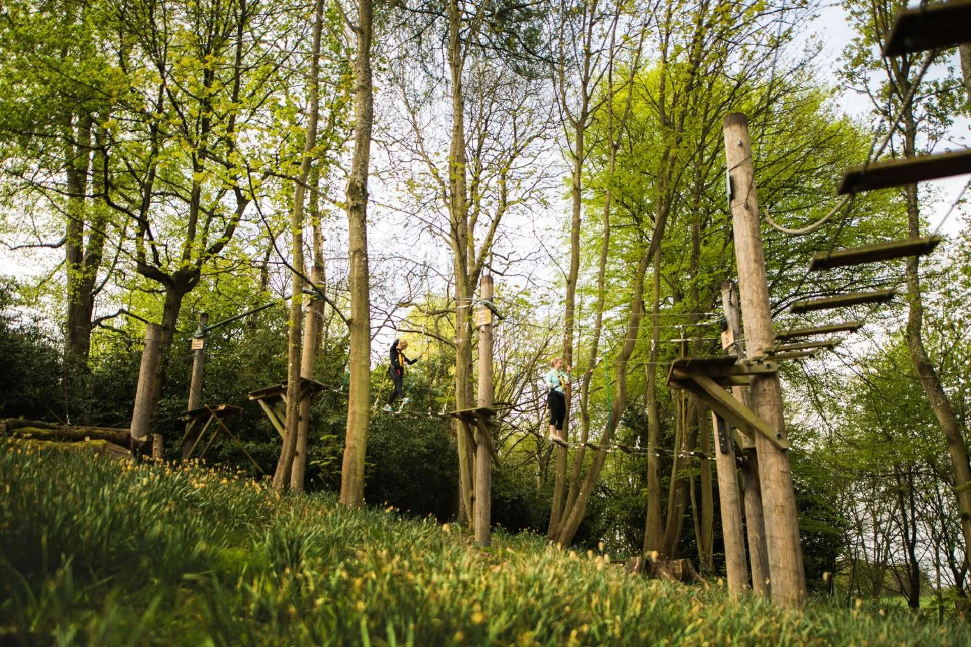 Area and facilities in Four Seasons Hotel Hampshire