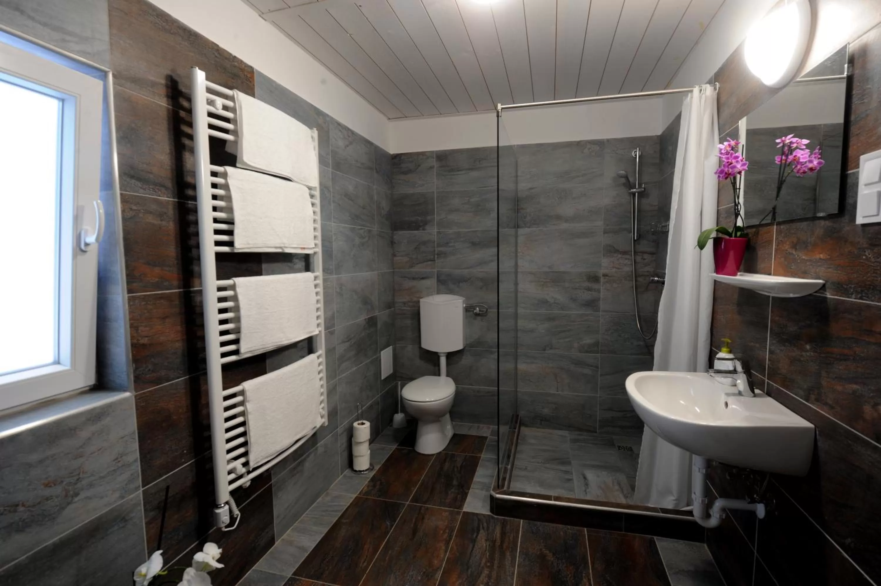 Shower, Bathroom in Tiszaliget Apartman és Szálló