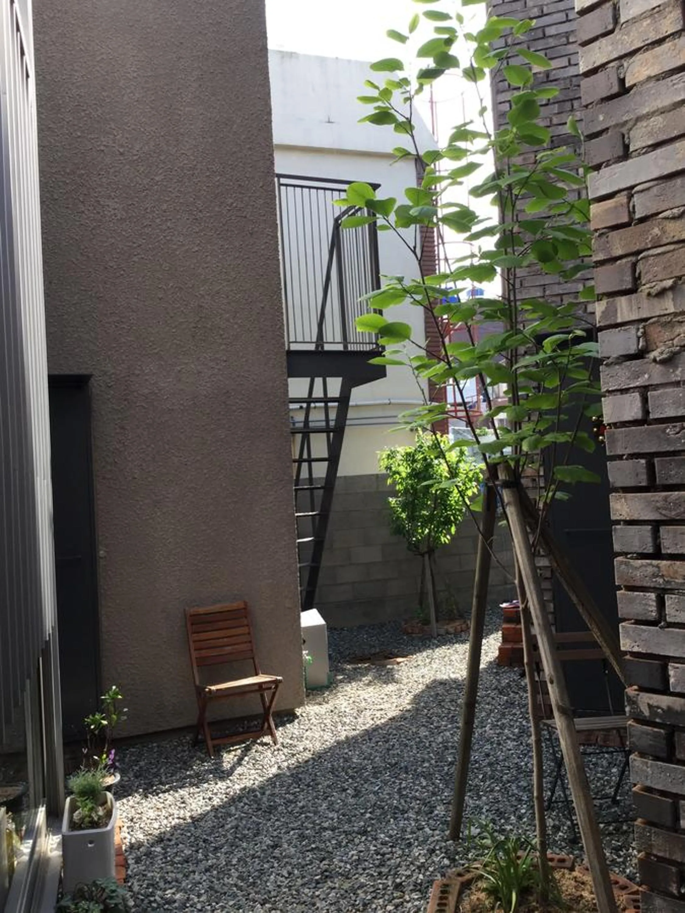 Garden in Inside Busan Hostel