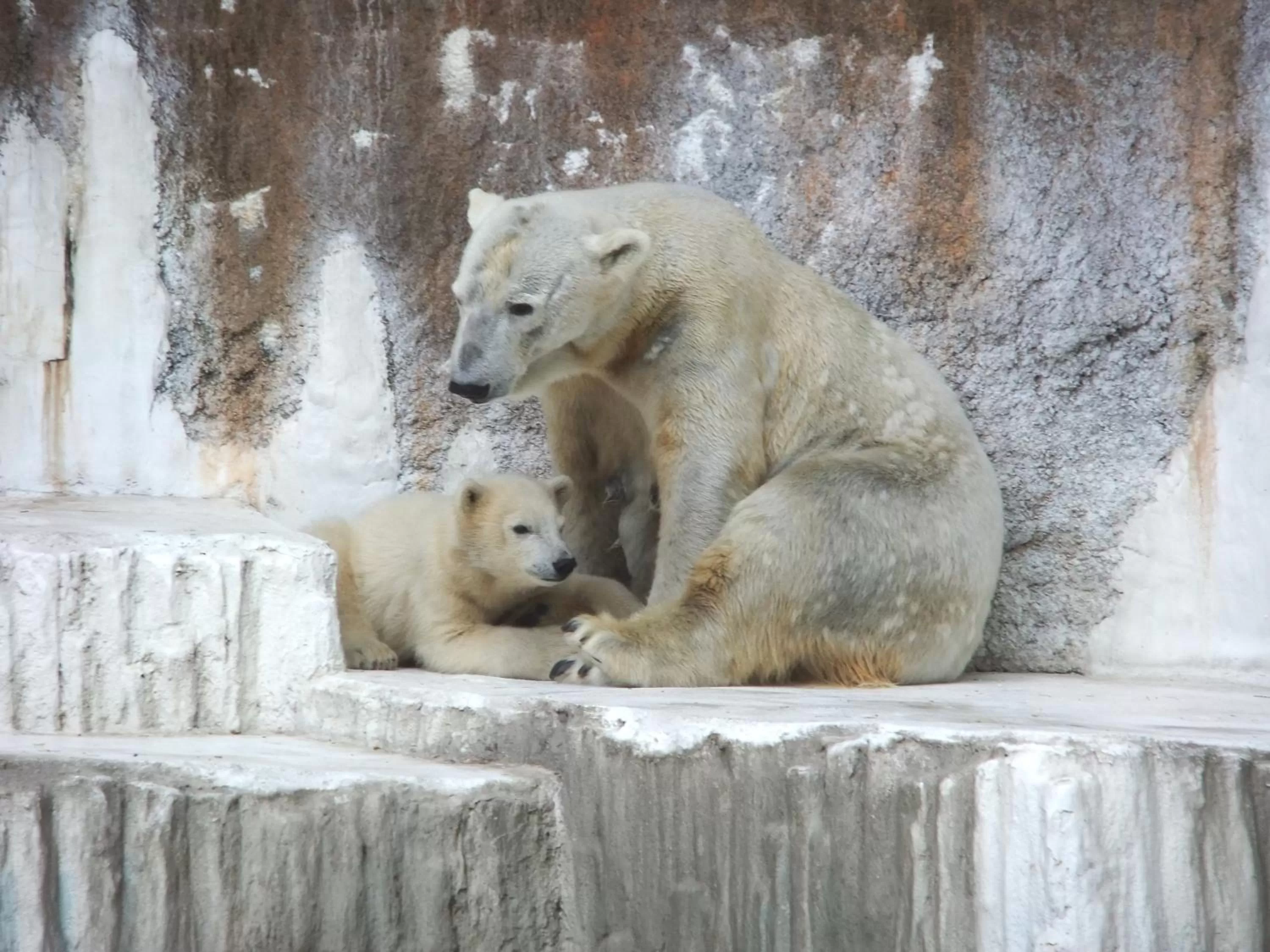 Nearby landmark in Hotel Wing International Select Osaka Umeda