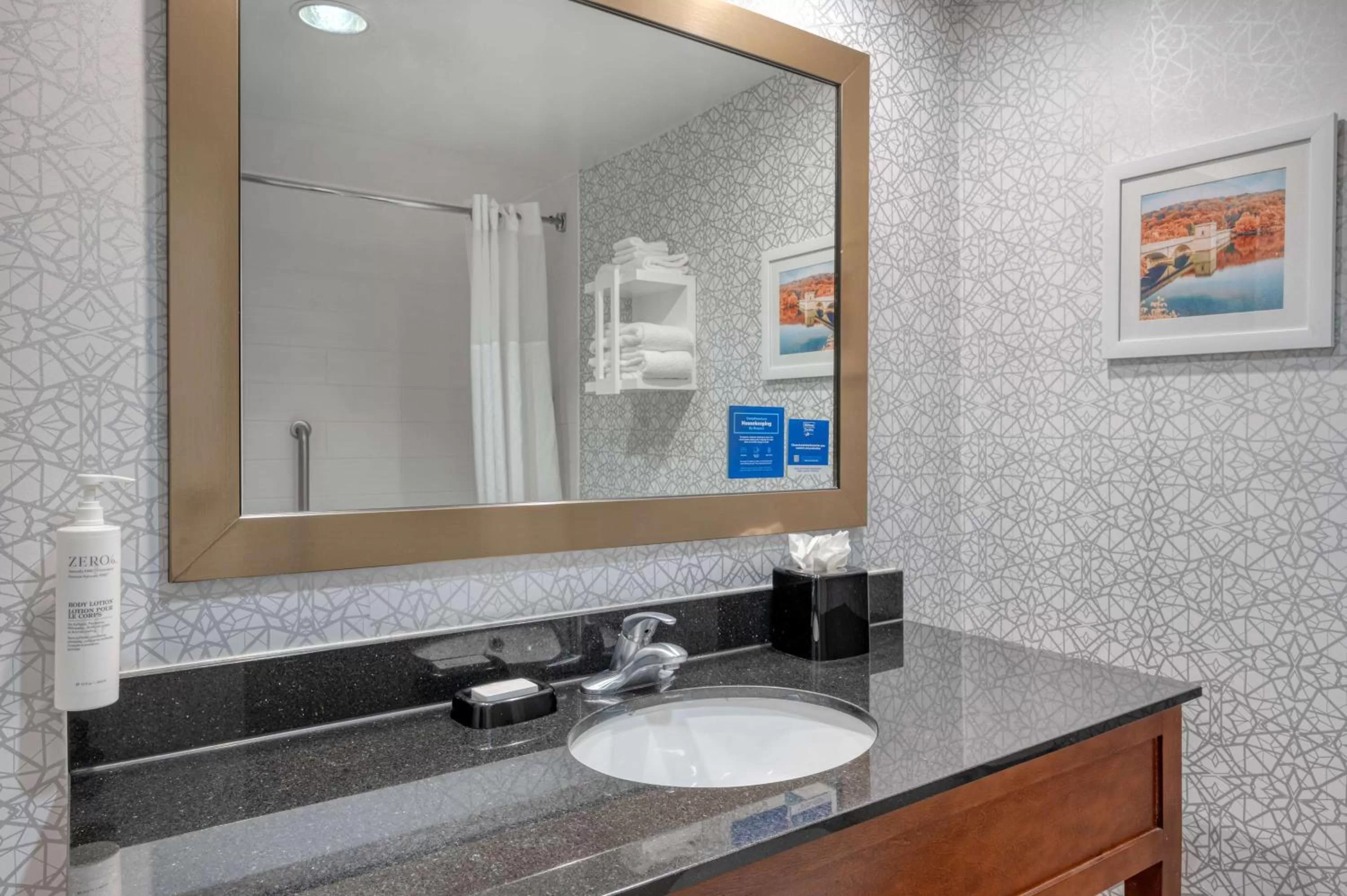 Bathroom in Hampton Inn Baltimore/White Marsh