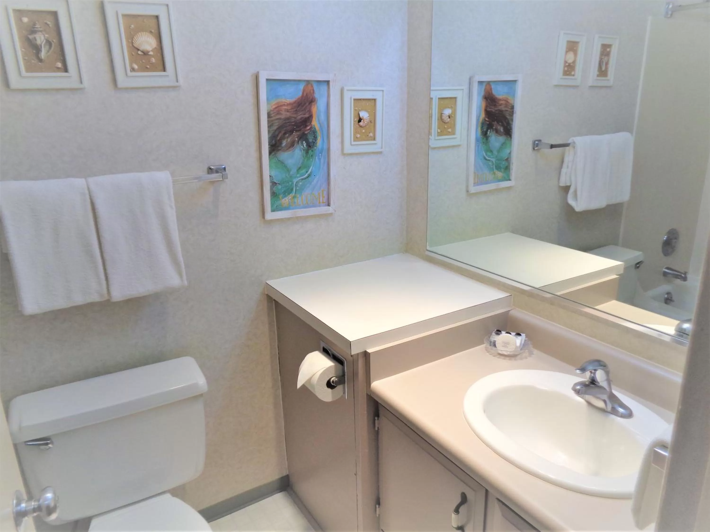 Bathroom in The Polynesian Resort