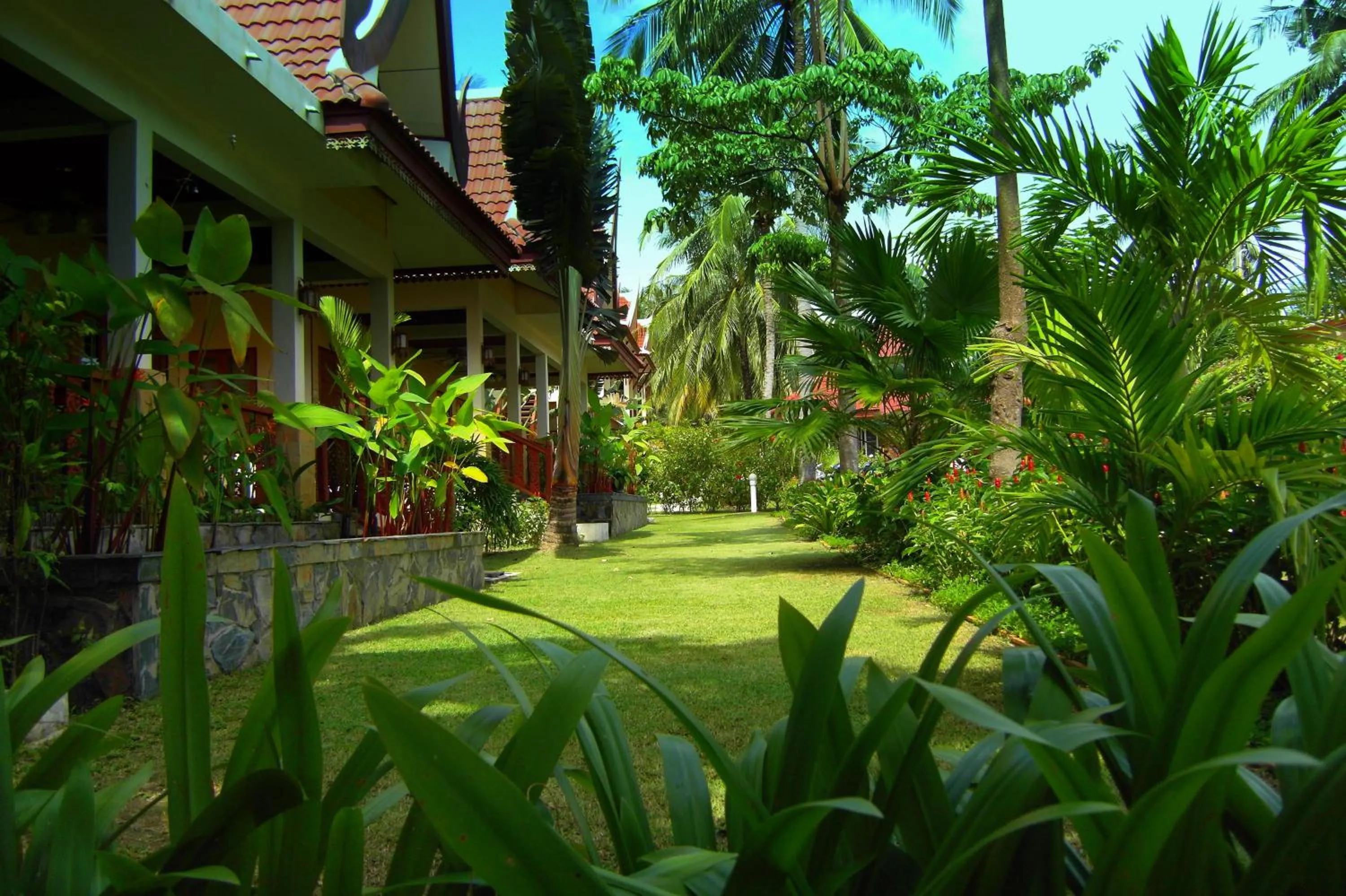 Garden in Palm Village
