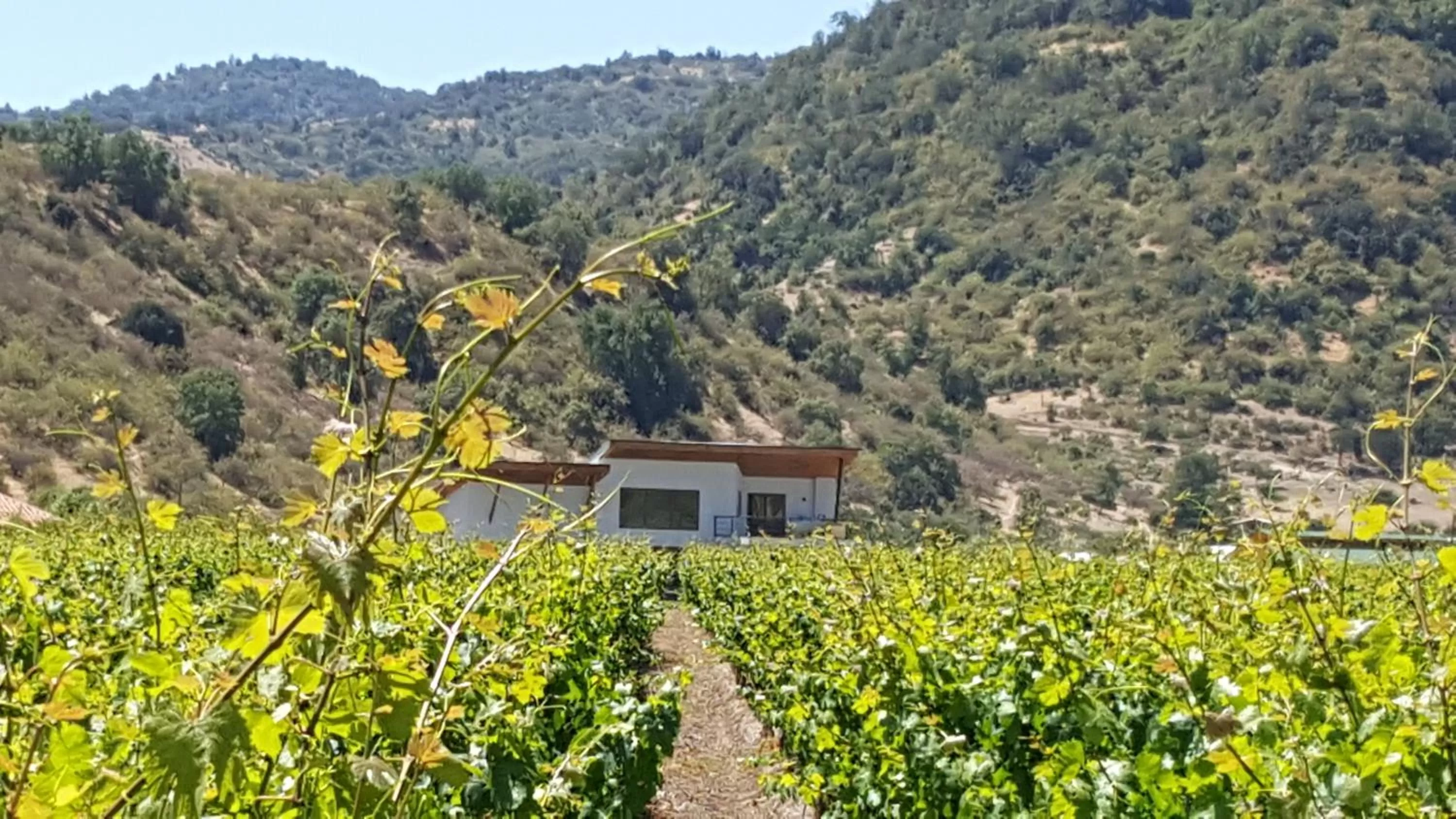 Nearby landmark in Callihue Lodge