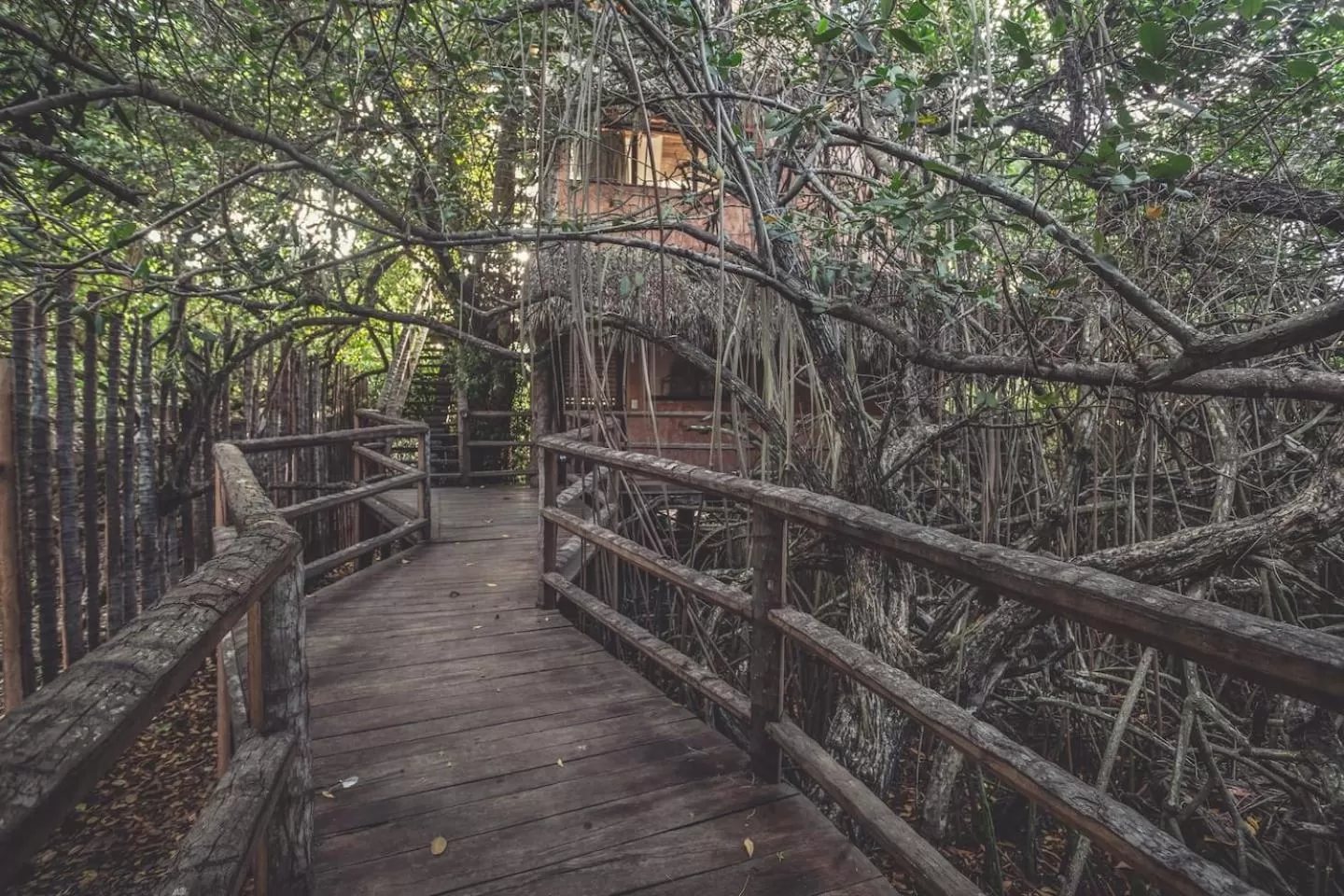 Facade/entrance in Hidden Treehouse Tulum Eco-Hotel