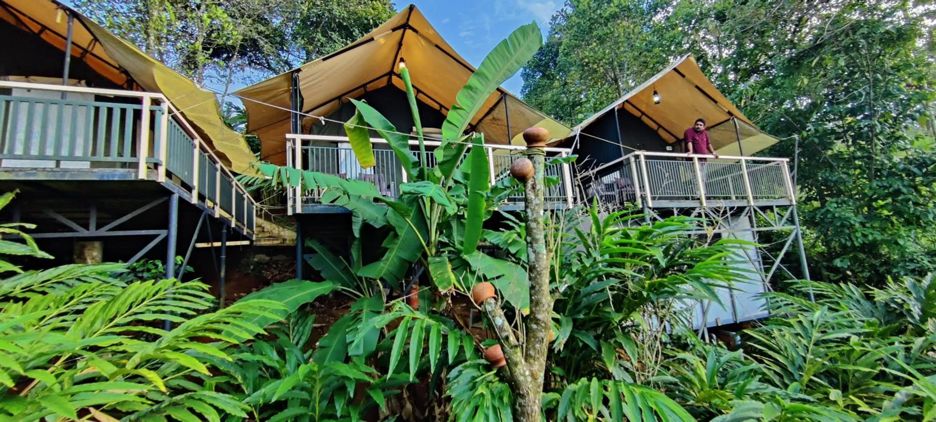 Property Building in Chalona Jungle Vibe
