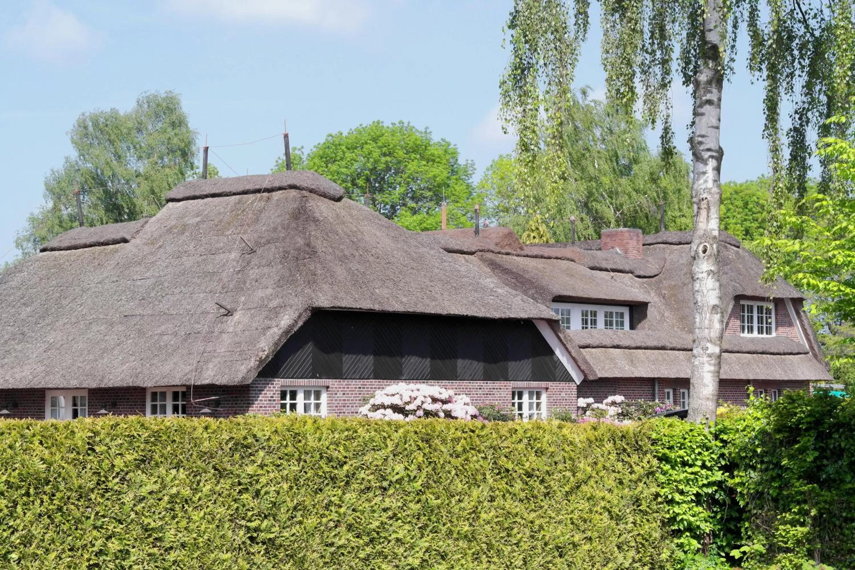 Property building in Hotel Blauer Fasan