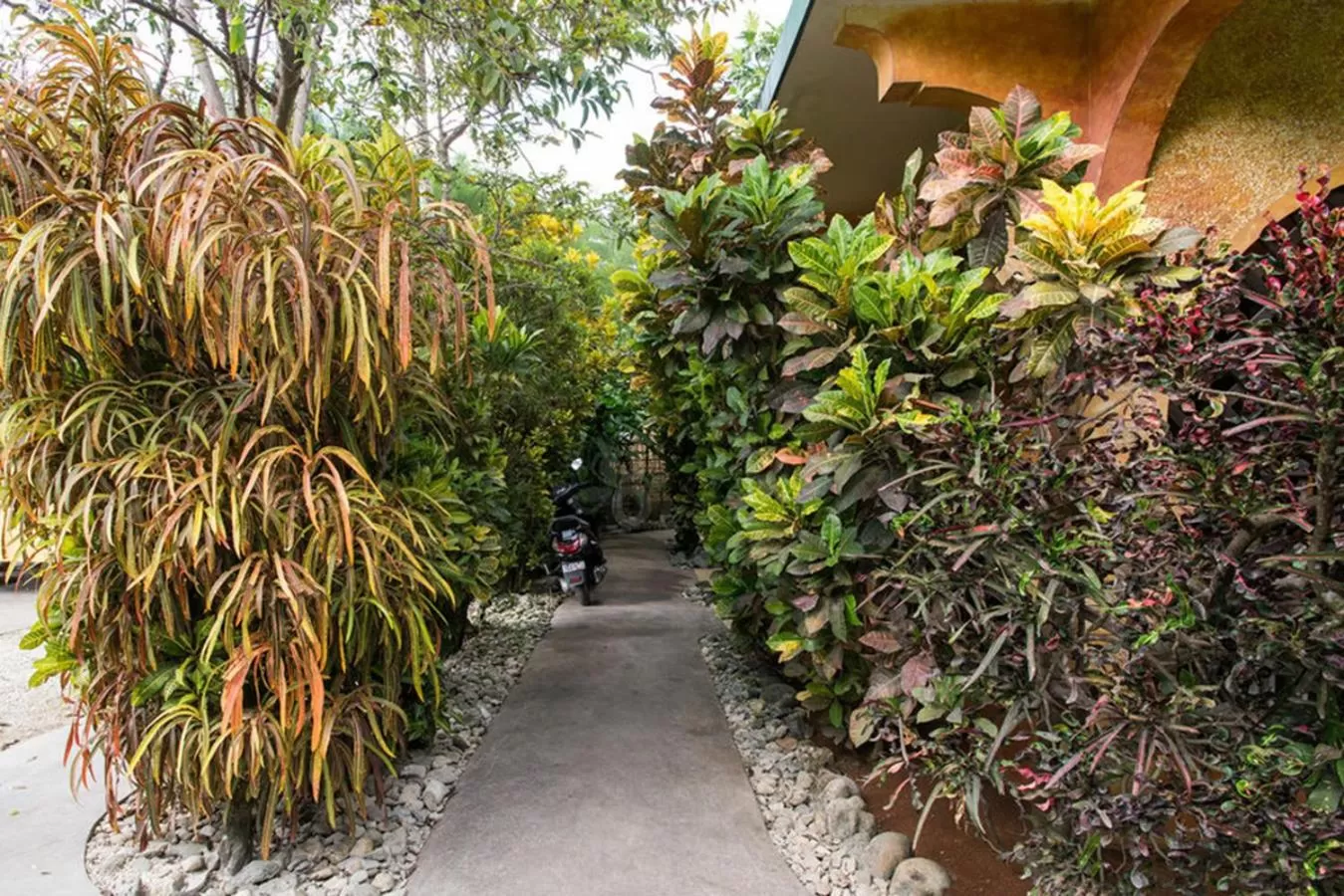 Garden view in Sunrise Club Hotel