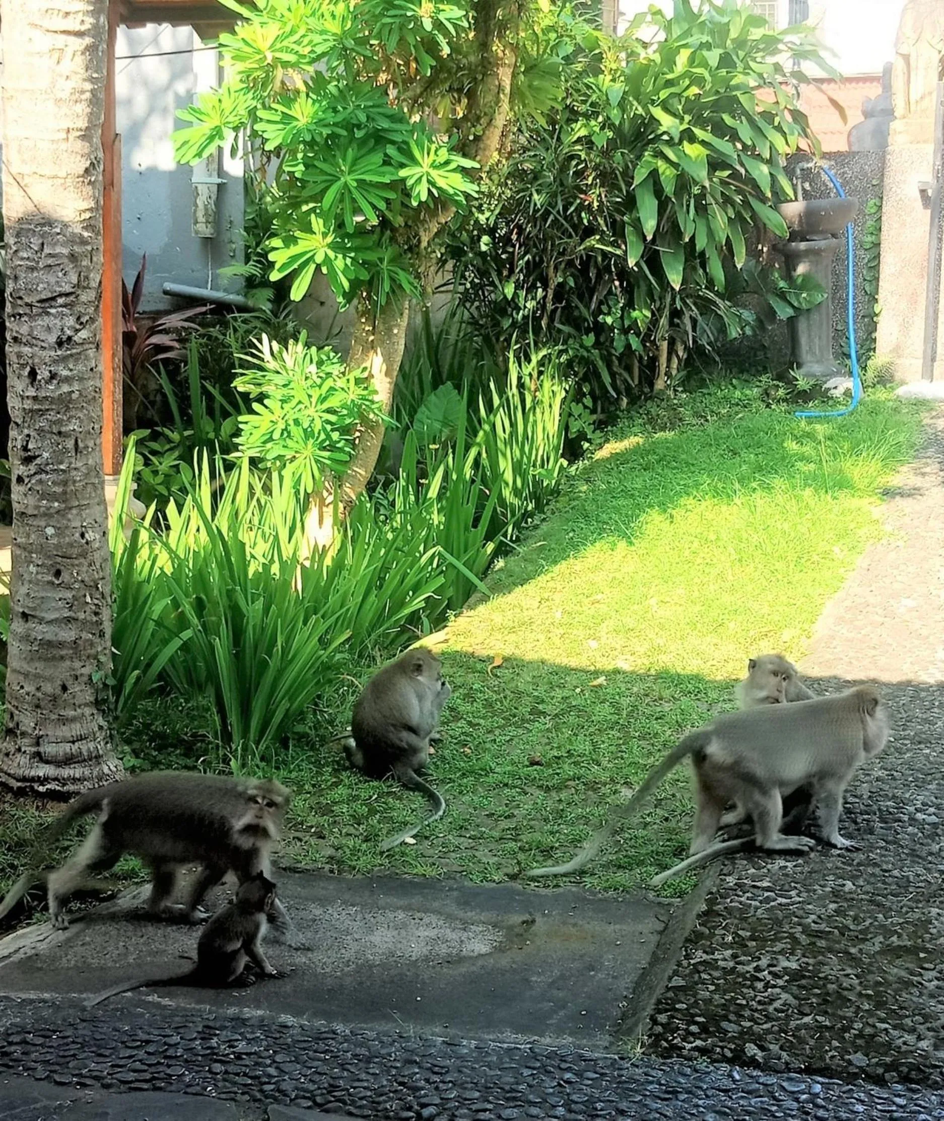 Property building in Argasoka Bungalows