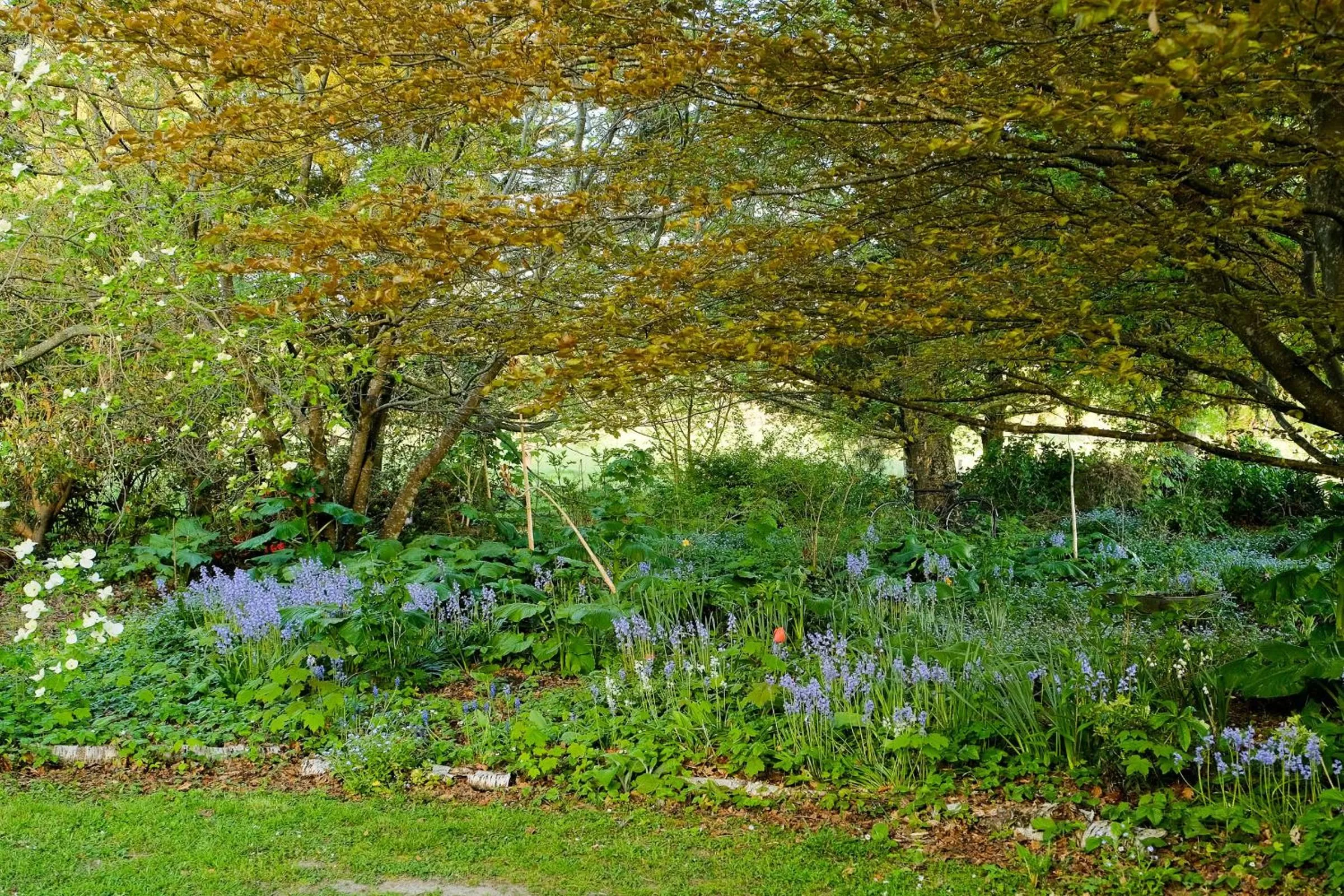 Garden in Waikonini Homestead