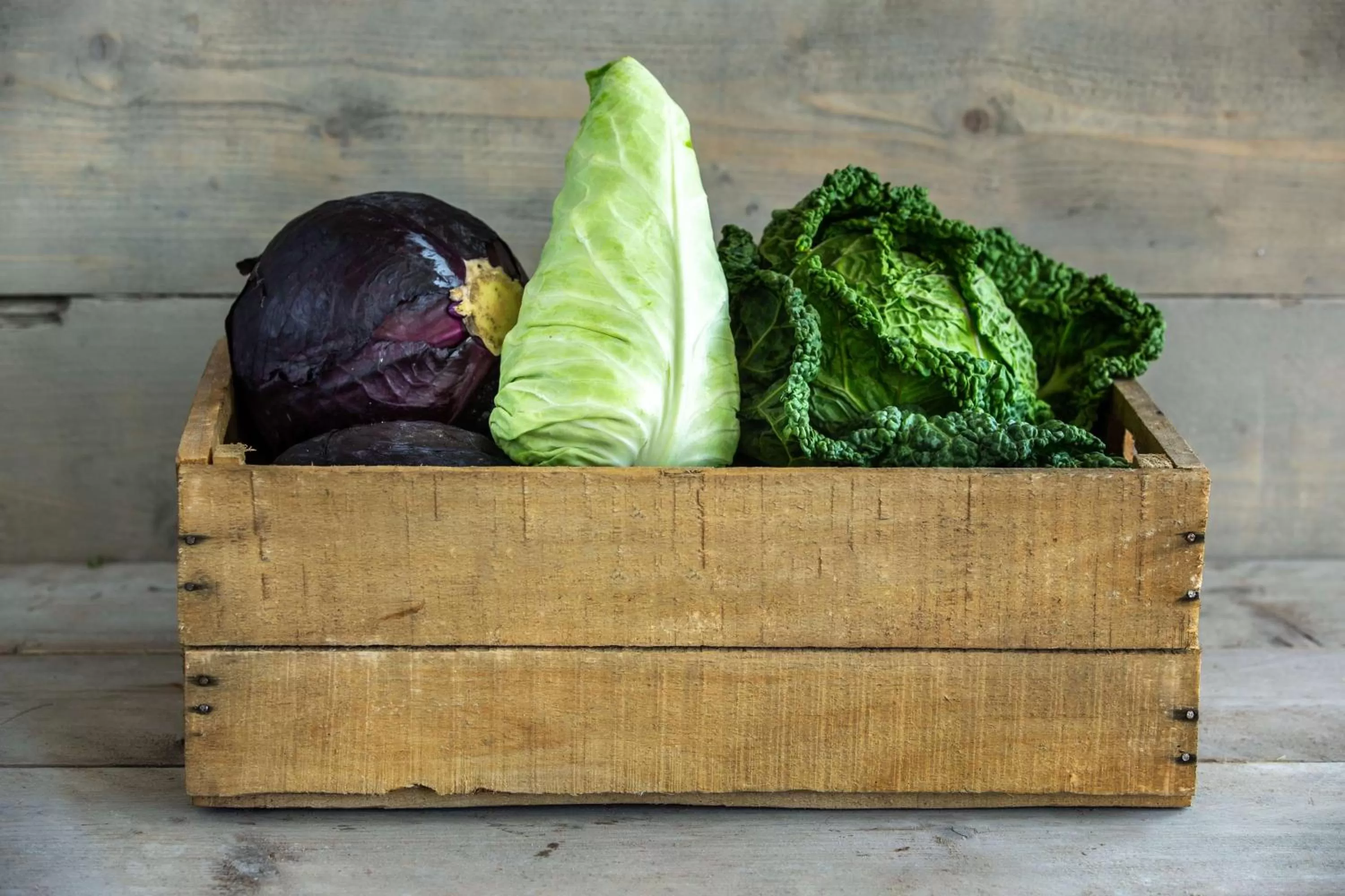 Other in Radisson Blu Hotel, Antwerp City Centre