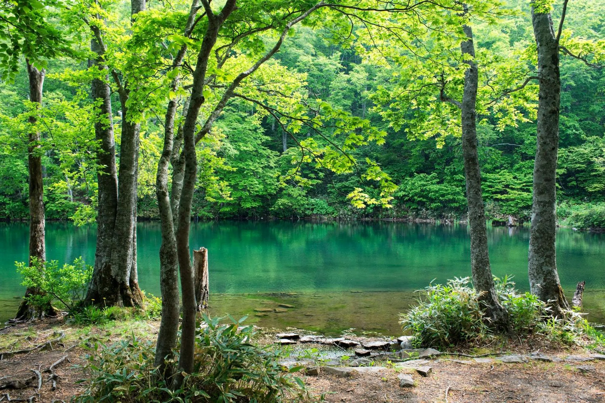 Spring in Senkeien Tsukioka Hotel