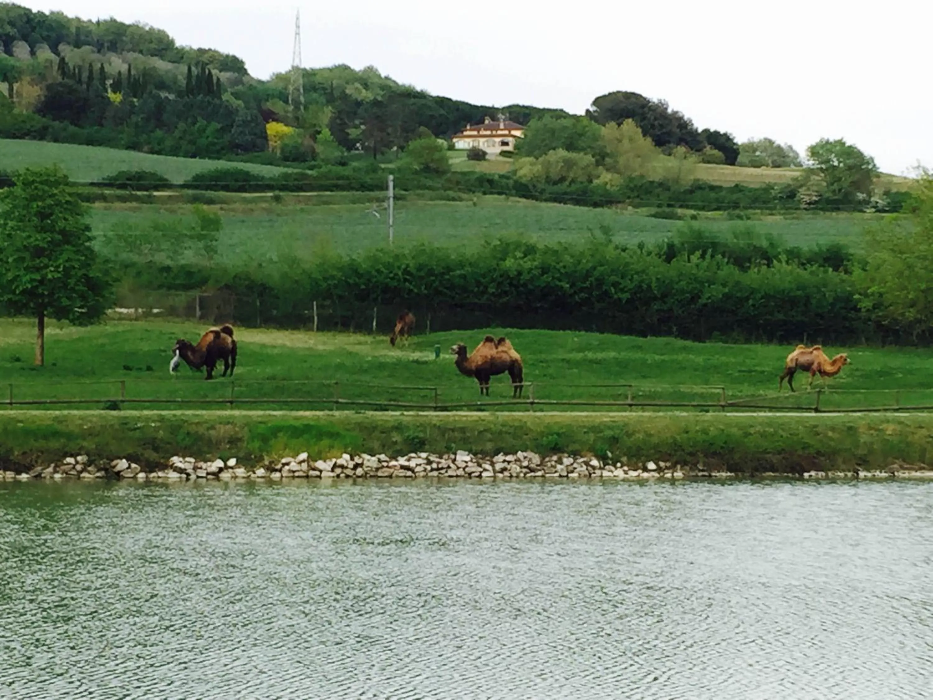 Natural landscape in Relais Todini - Residenza d'epoca - Luxury Historic house