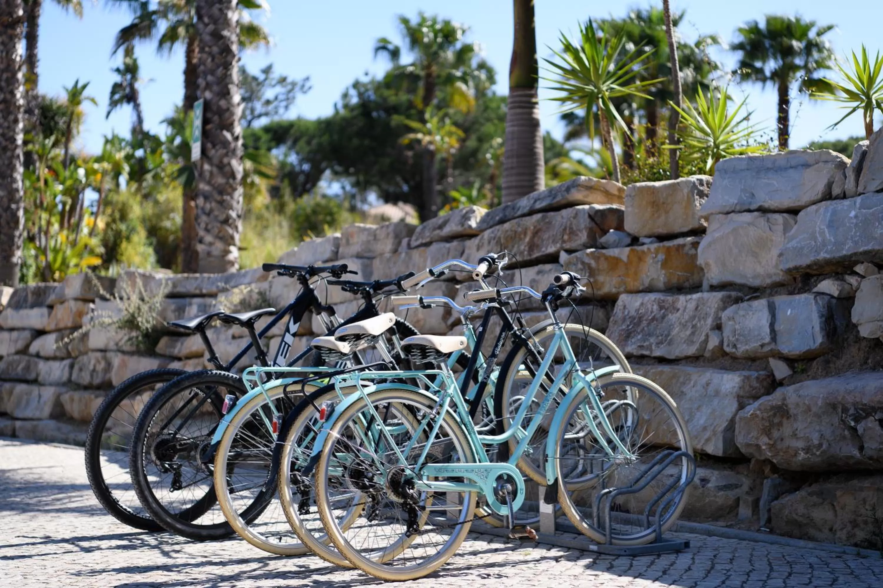 Activities in Pestana Vila Sol - Vilamoura Premium Golf Resort