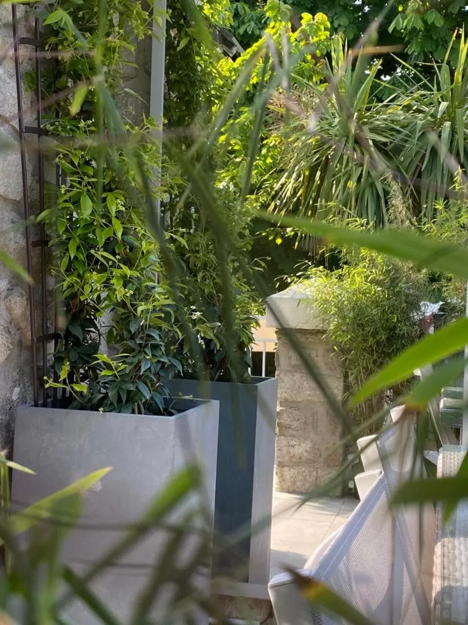 Garden in Villa Fresquet