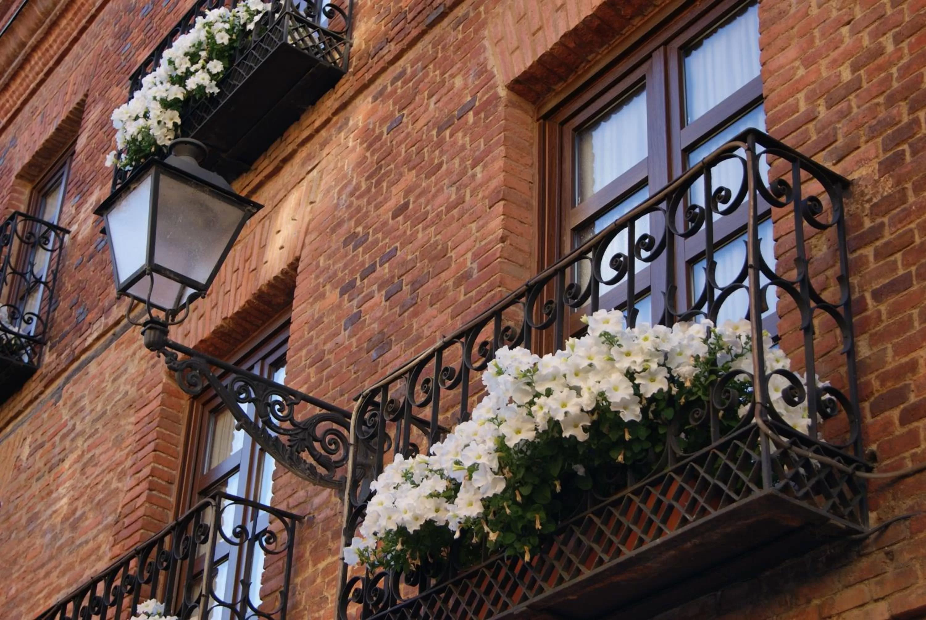 Facade/entrance in Hotel La Posada Regia