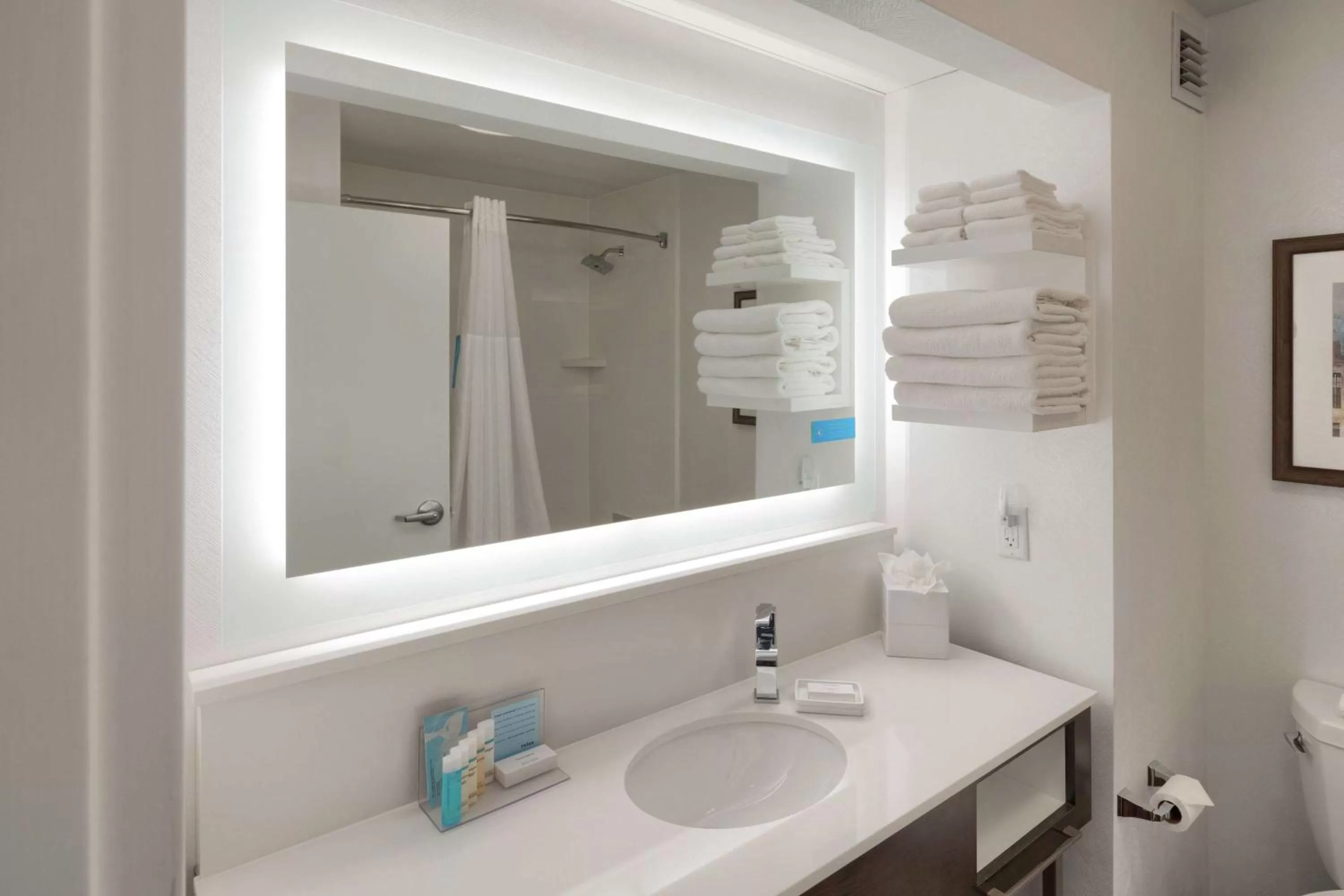 Bathroom in Hampton Inn Louisville Northeast