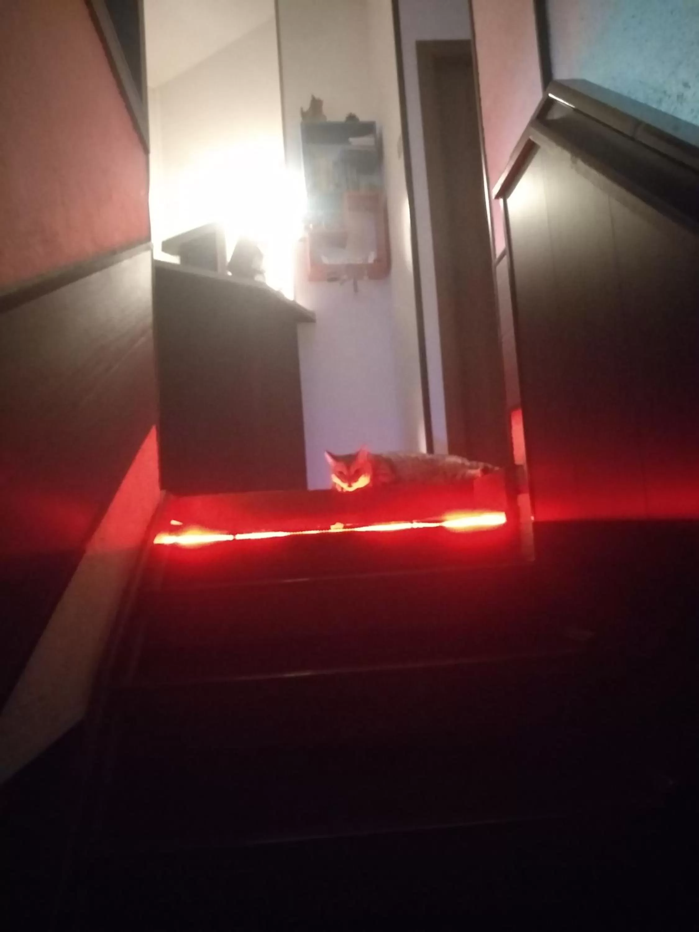 Lobby or reception in Sakura Inn