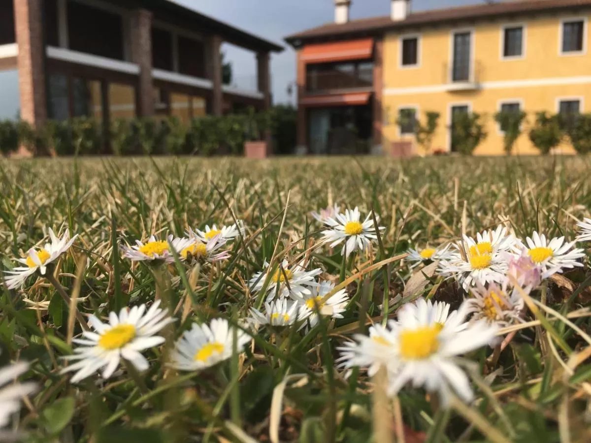 Property building in Casa Lidia - ALLOGGI SMART