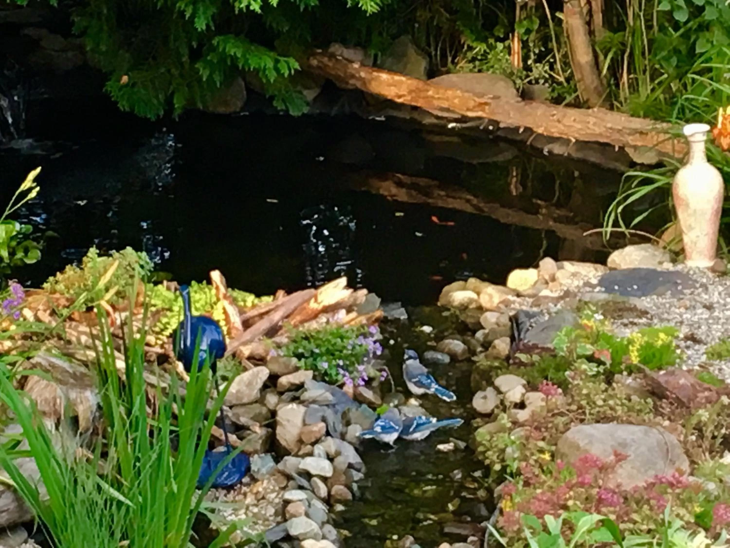 Property building, Garden in À Amour et Amitié