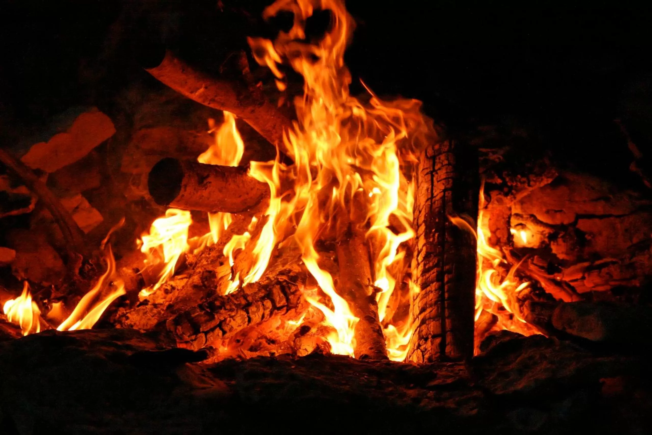 Area and facilities in Drummond Island Resort