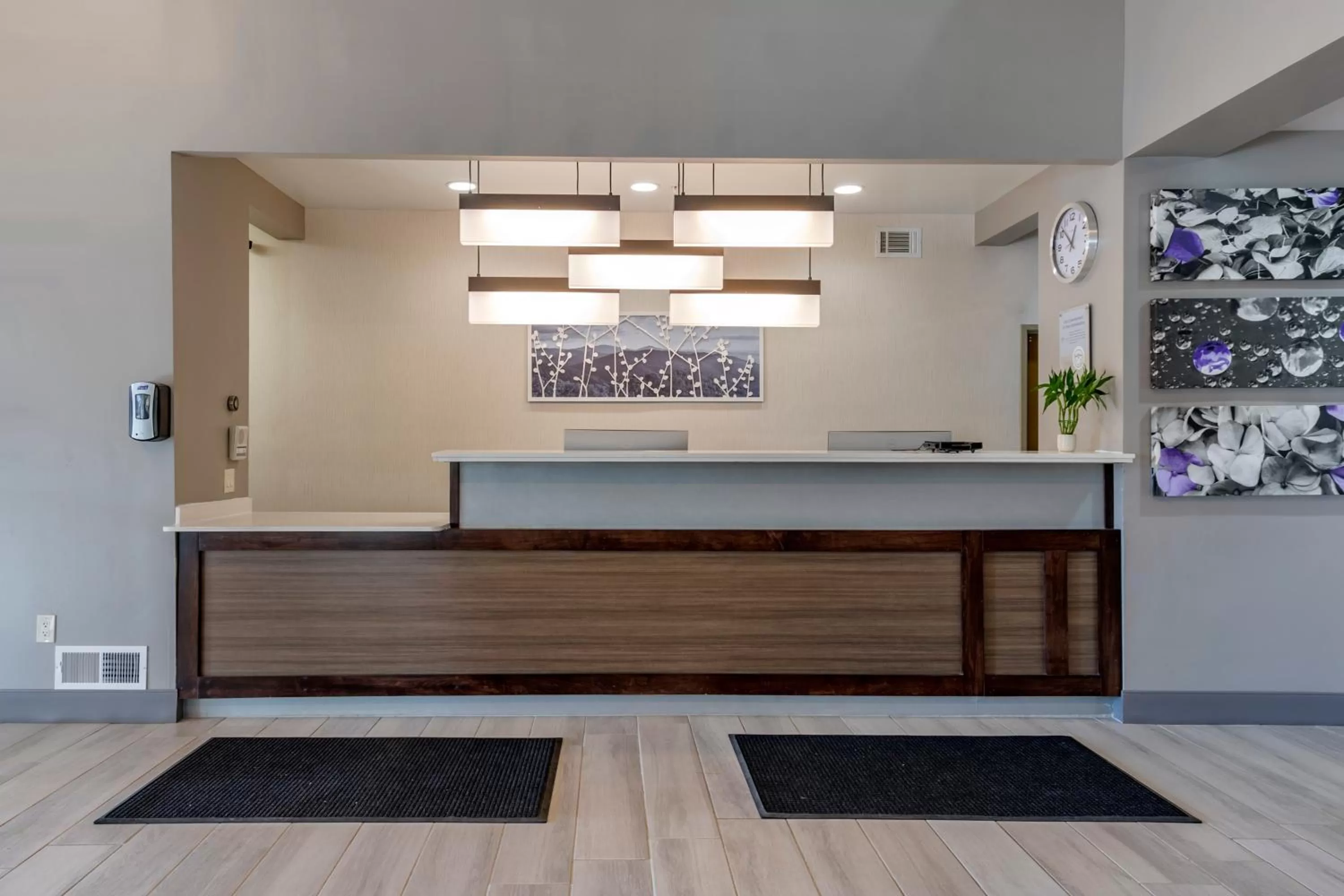 Lobby or reception in Sleep Inn & Suites Lebanon - Nashville Area