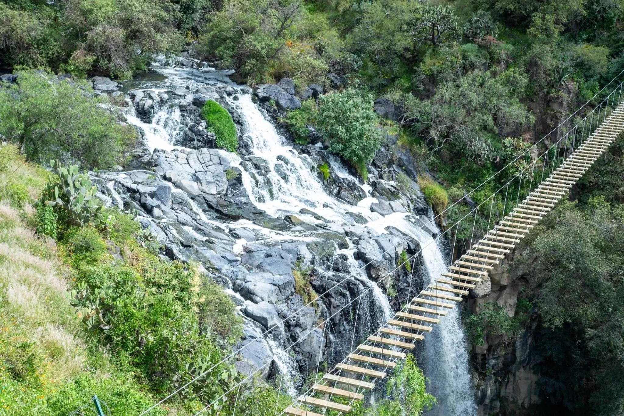 Fitness centre/facilities in Holiday Inn Tlaxcala by IHG