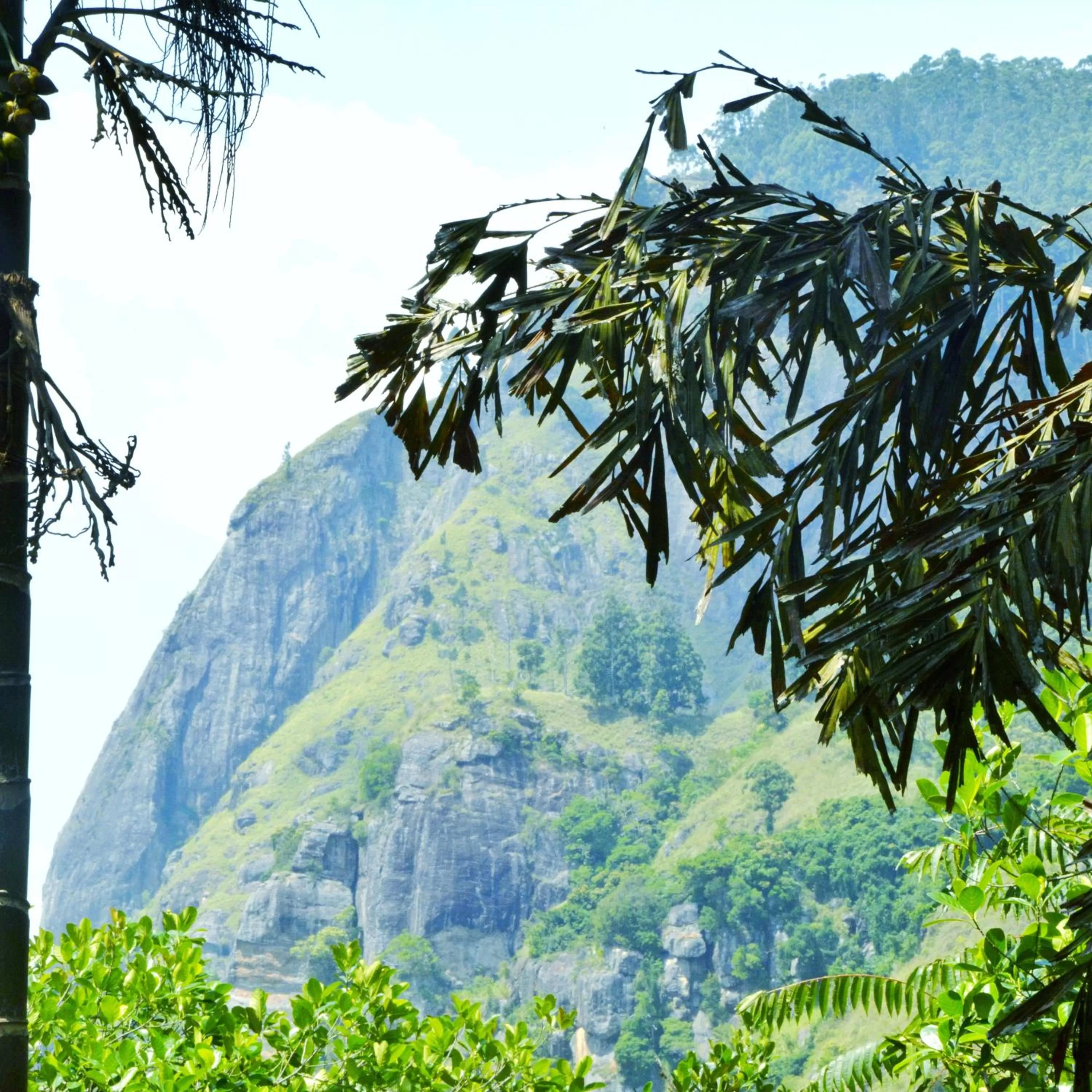 Natural landscape in Madushanka Resort
