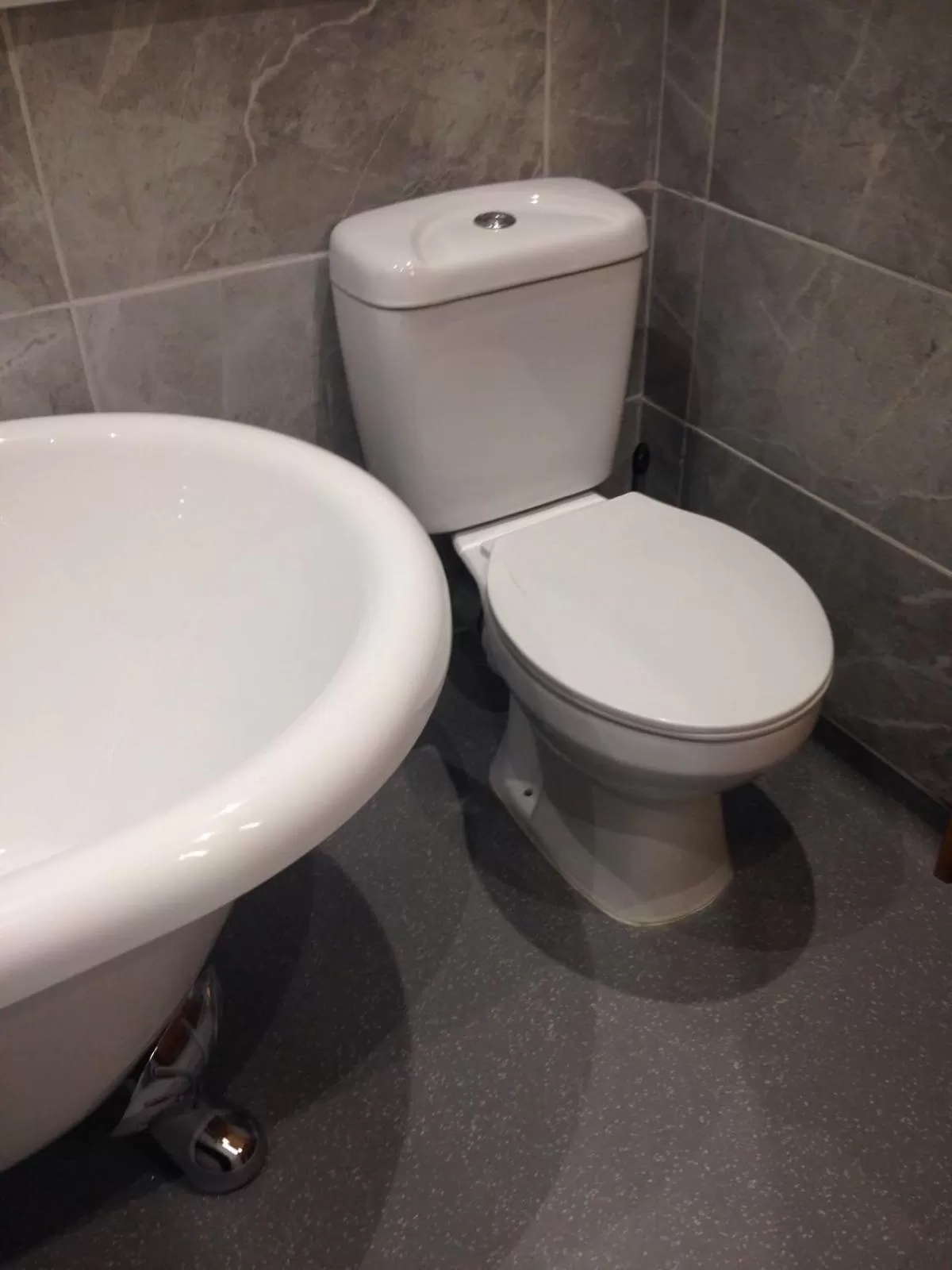 Alma Lodge Guest House