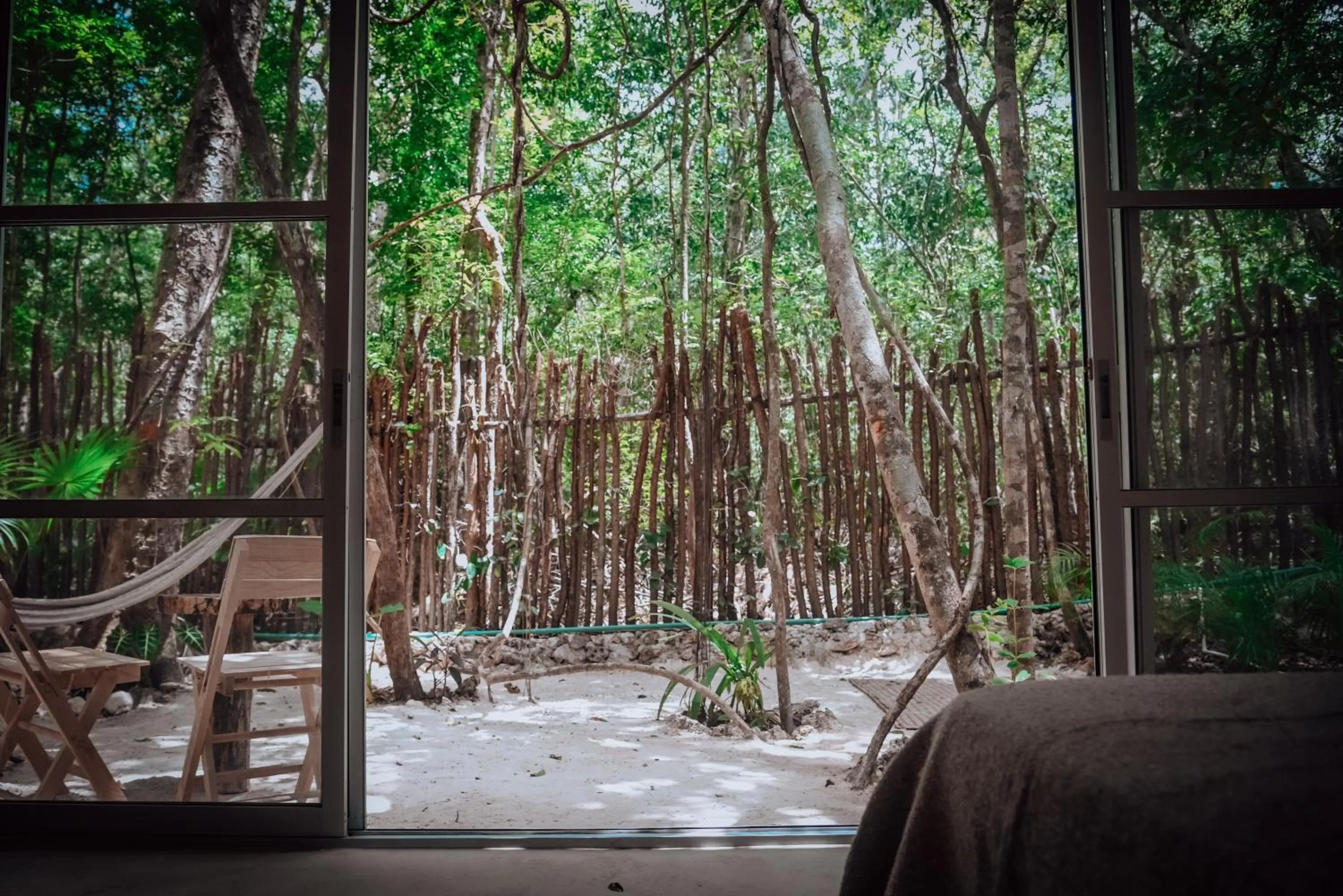 Garden, Winter in Lunita Jungle Experience