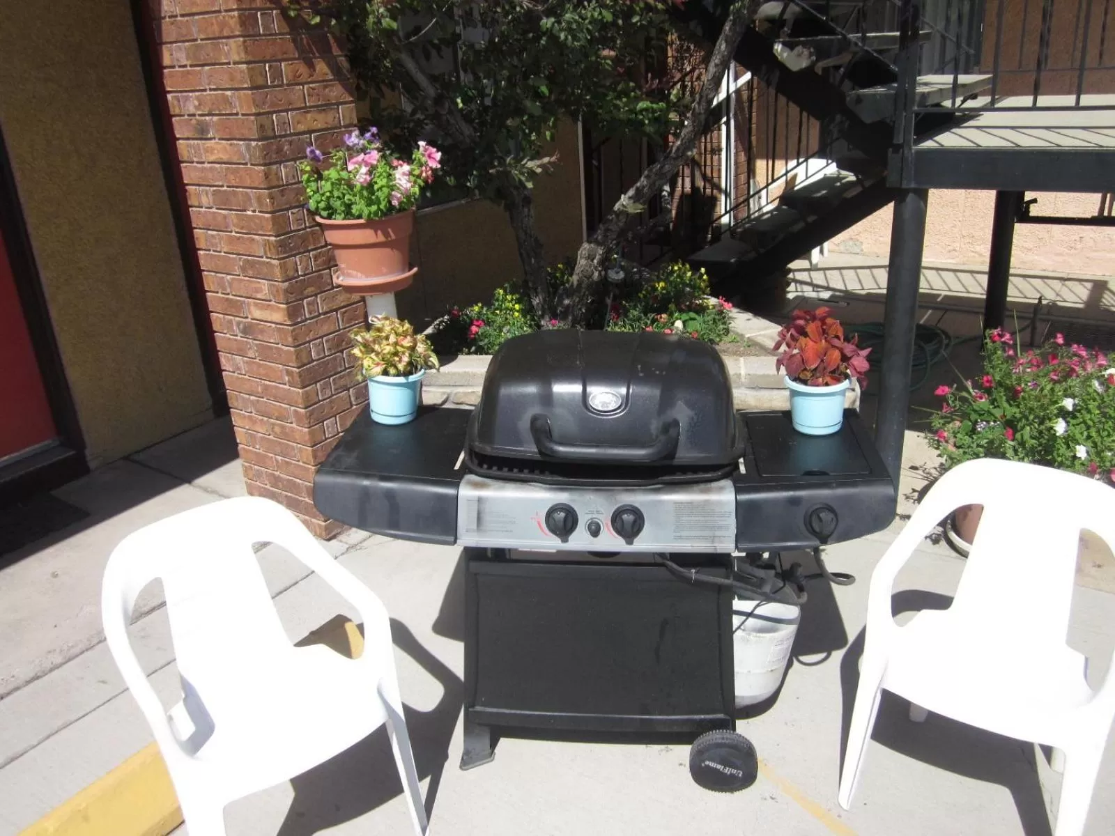 Facade/entrance in Color Country Motel