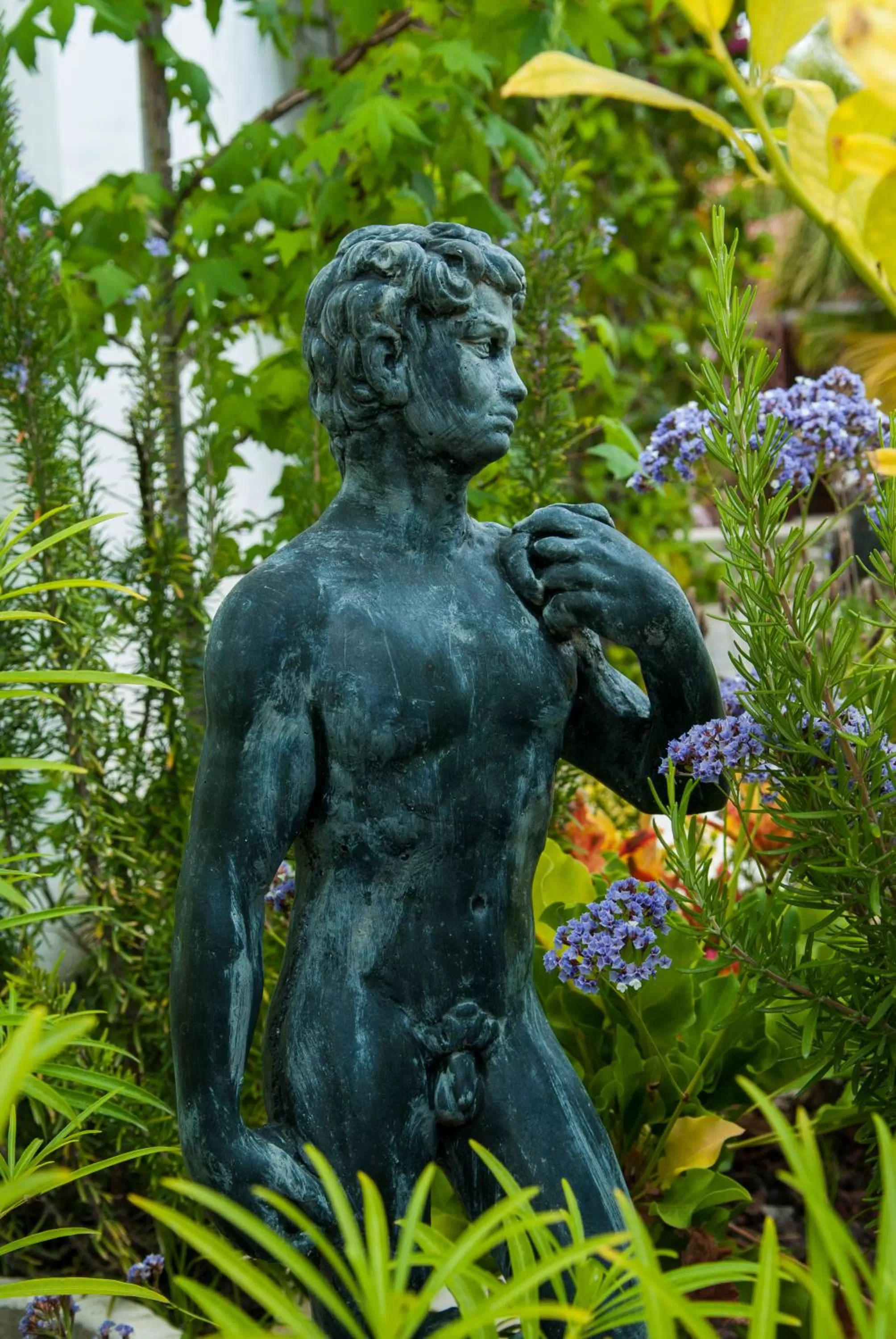 Birdcage Gay Men Resort and Lifestyle Hotel