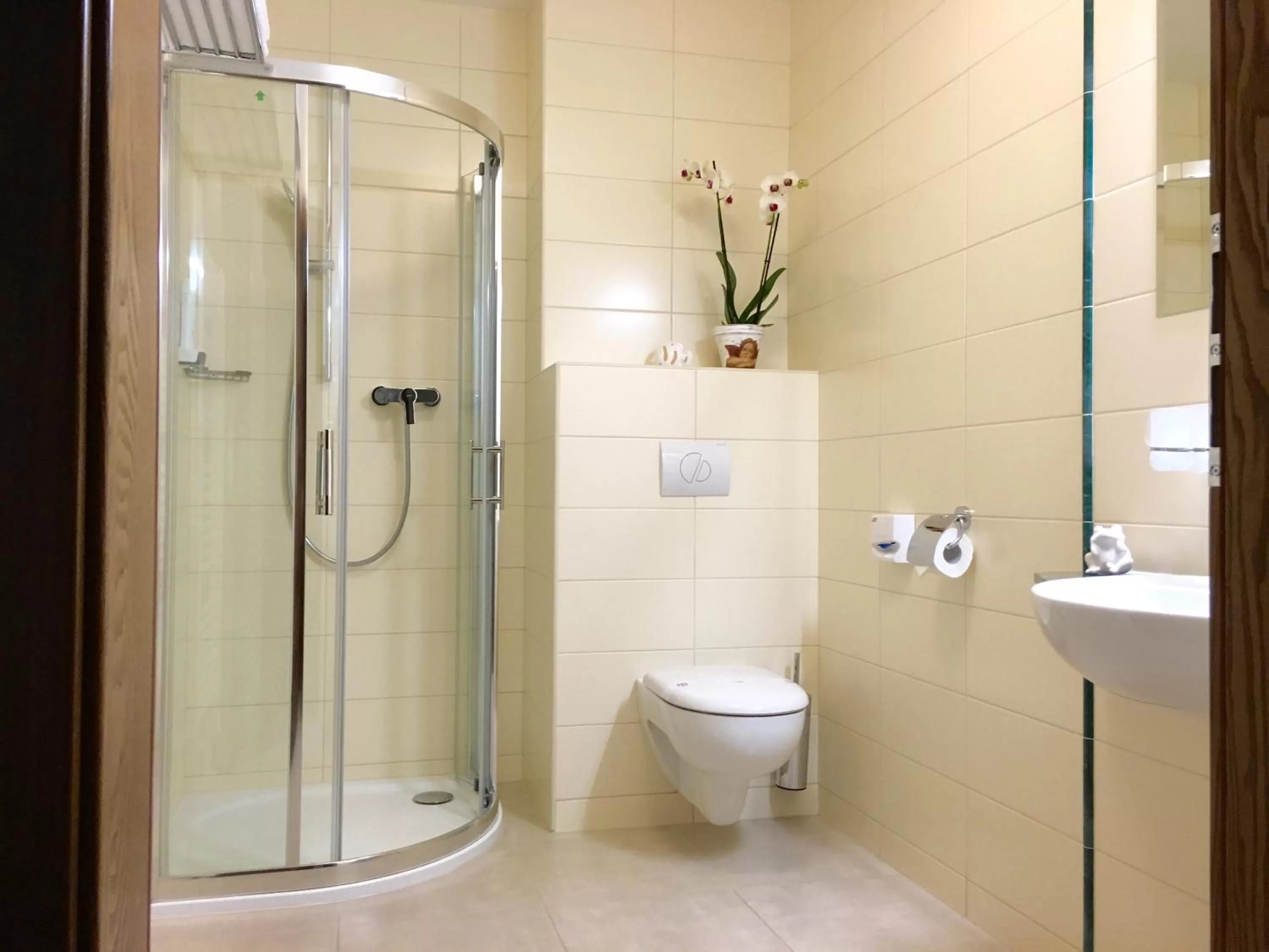 Shower in Parkhotel Forest