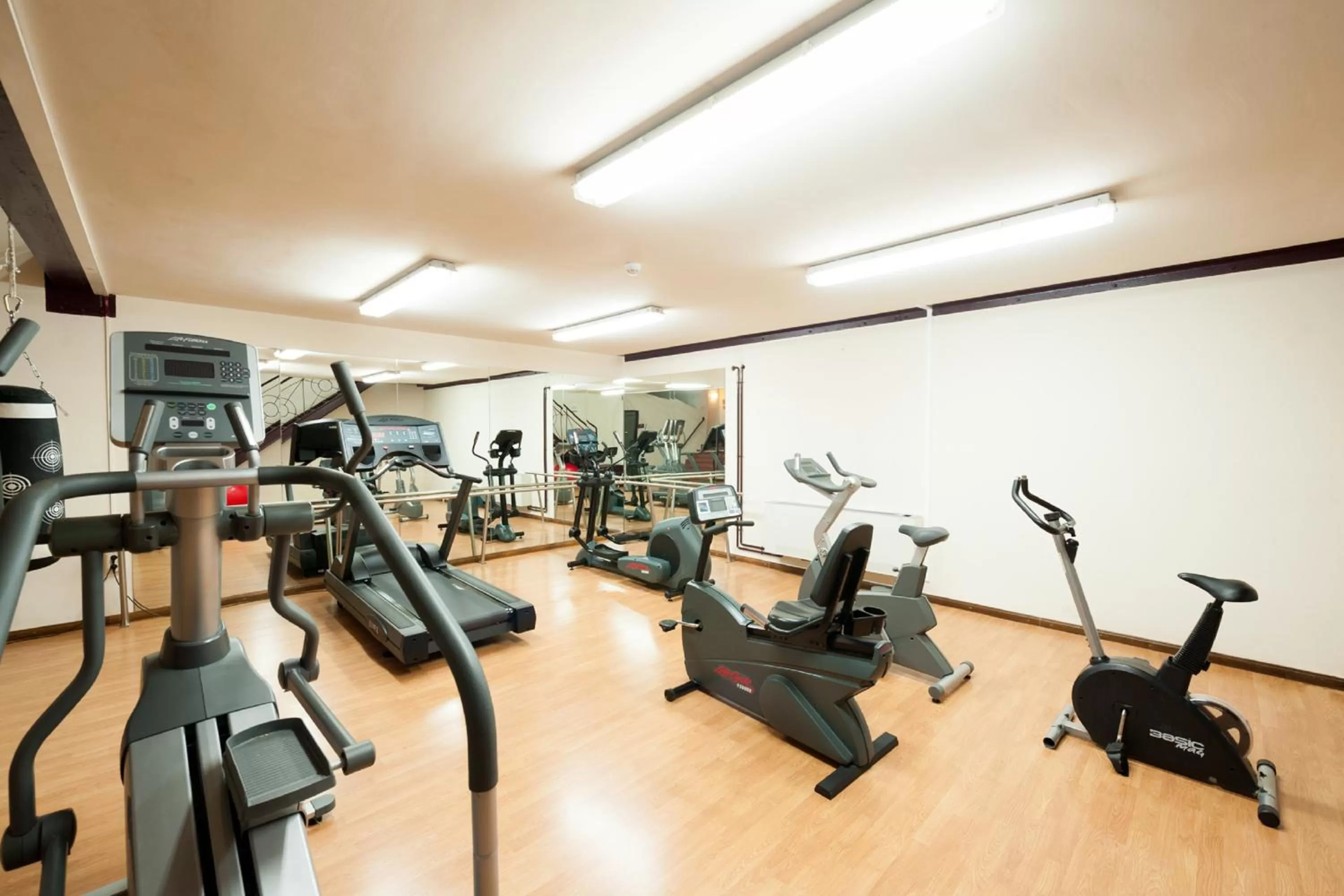 Fitness centre/facilities in SOMMOS Hotel Benasque Spa