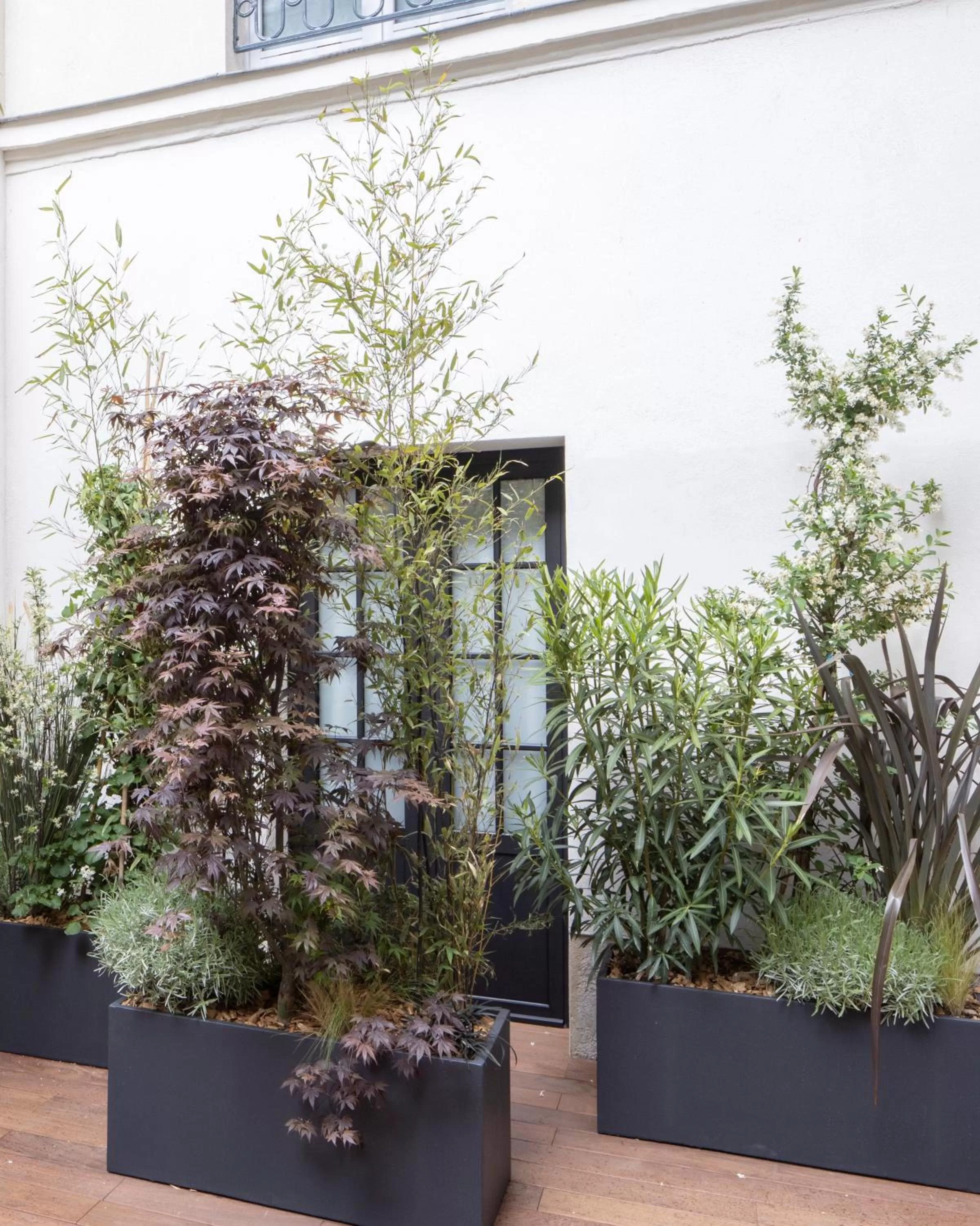 Garden in Hôtel Parisianer