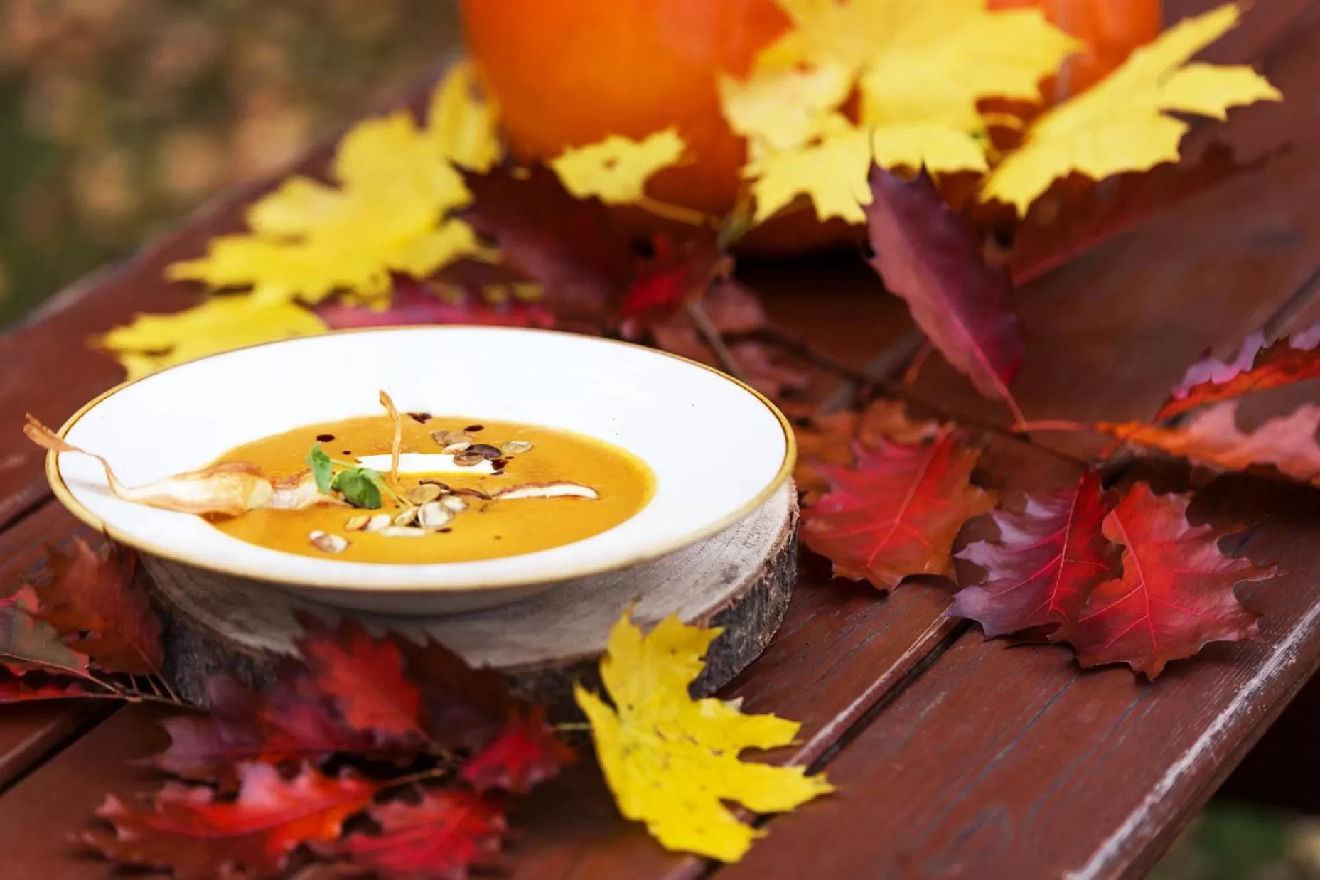 Leśna Perła - Restauracja i Pokoje Hotelowe