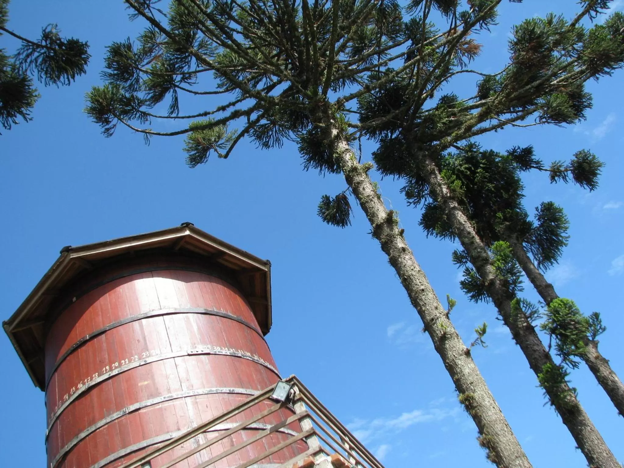 Day in Bina's Haus Pousada, Cafeteria e Atelier