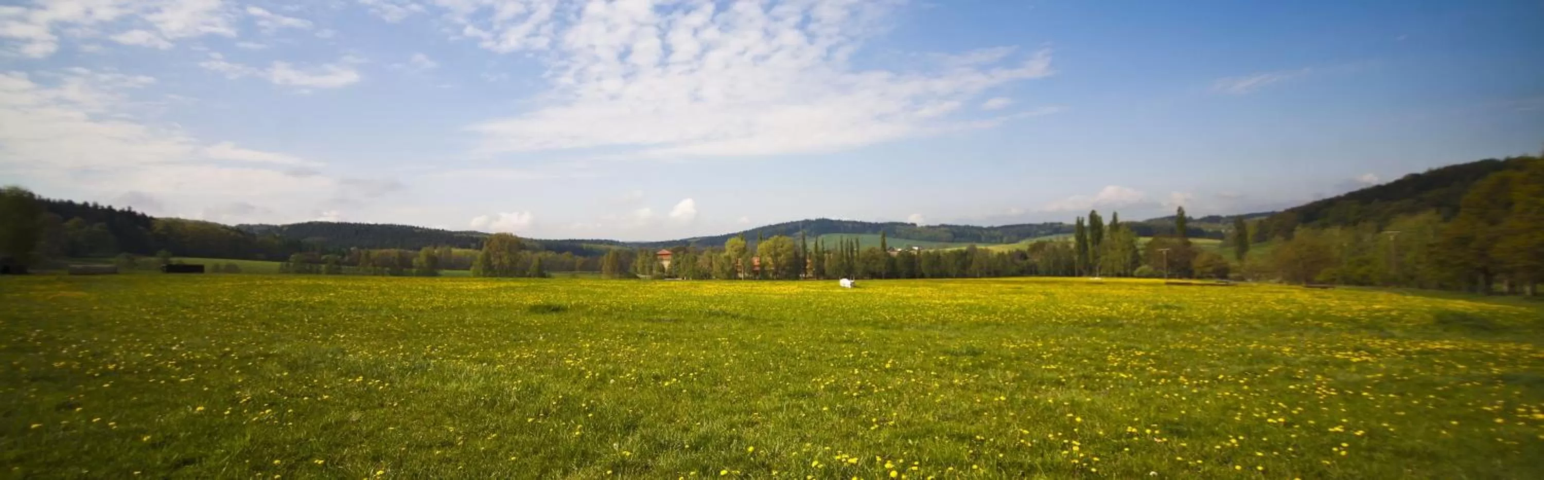 Off site in Dvůr Pecínov