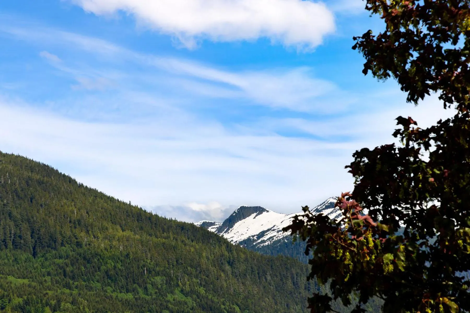 View (from property/room) in The Ketch Inn