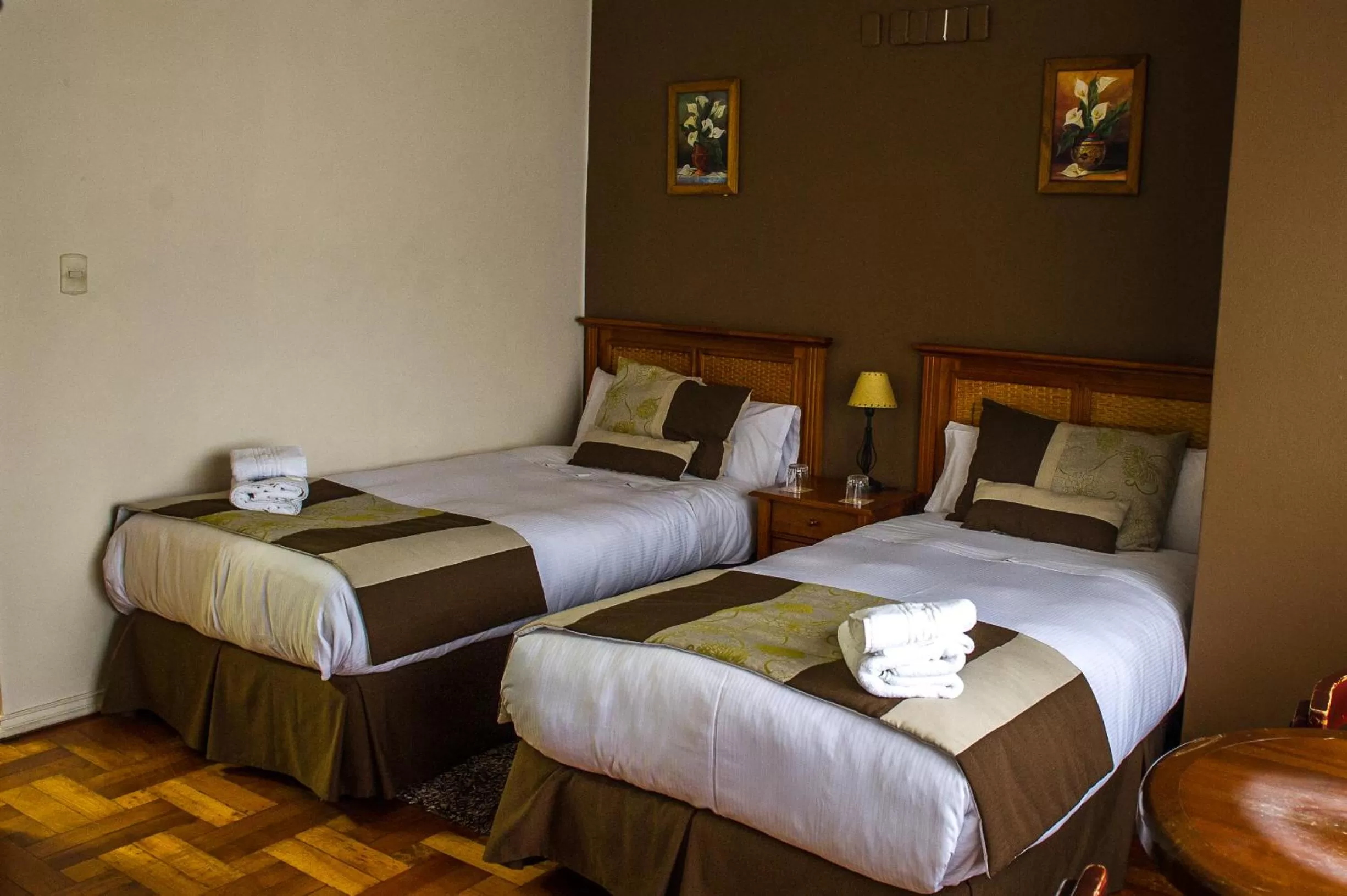Twin Room with Private Bathroom in Hotel Dikran
