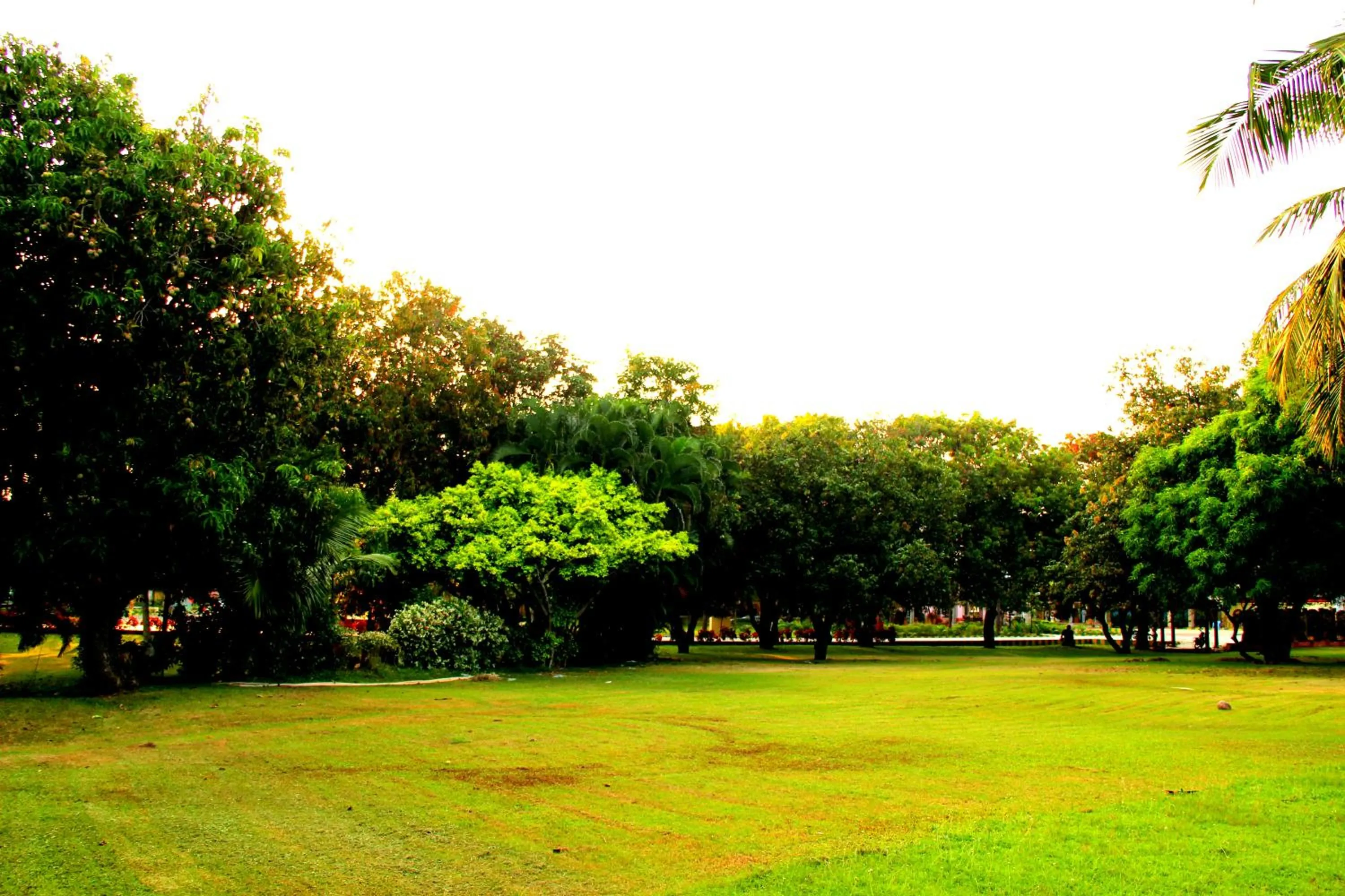 Garden in Vgp Golden Beach Resort