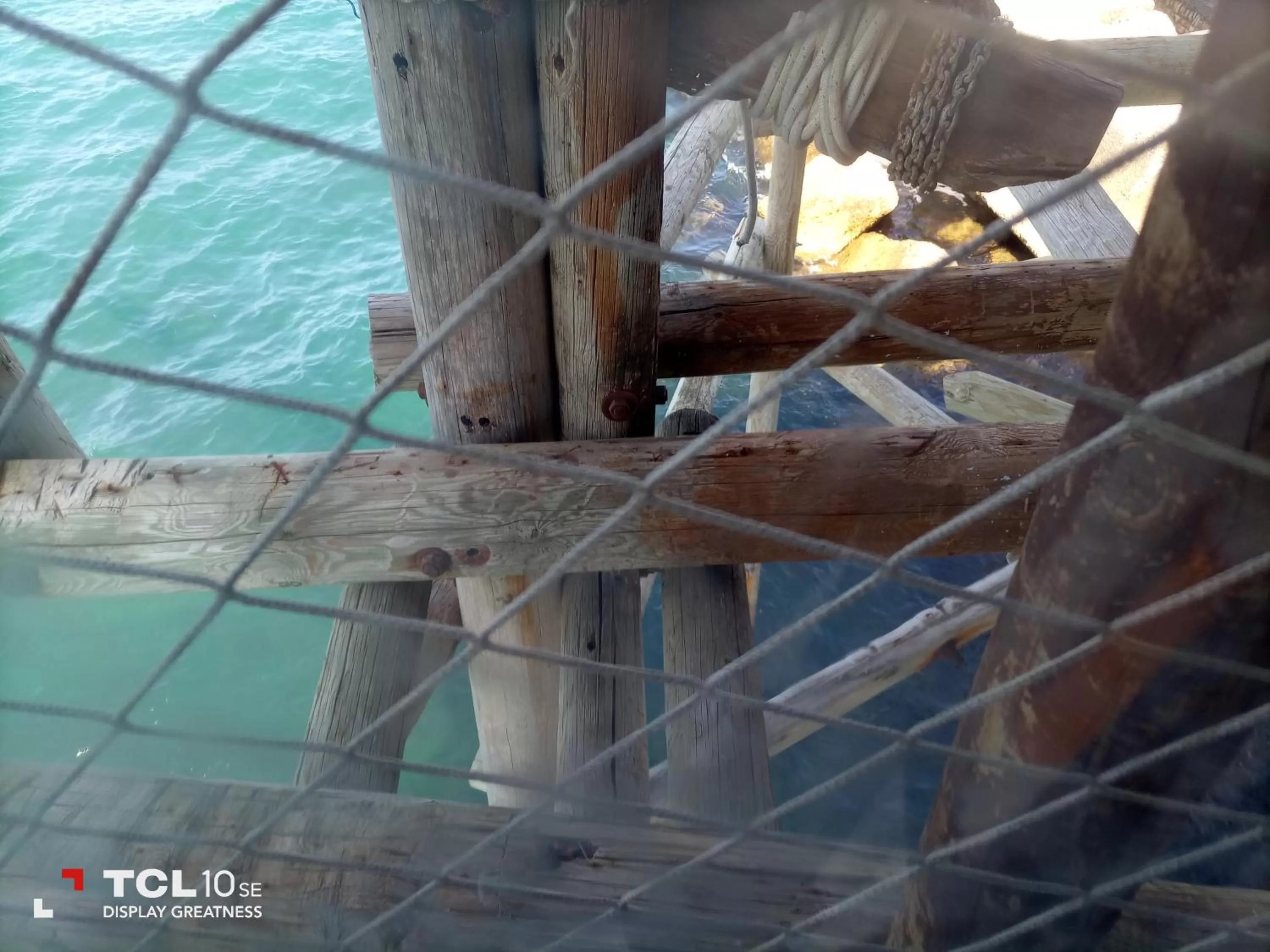 Other Animals in B&B Villa Mia