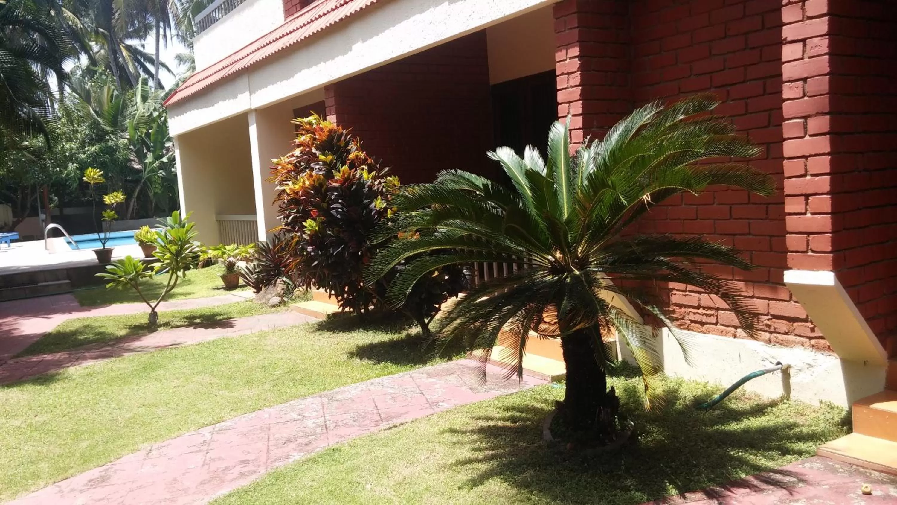 Garden view in Hotel Thushara