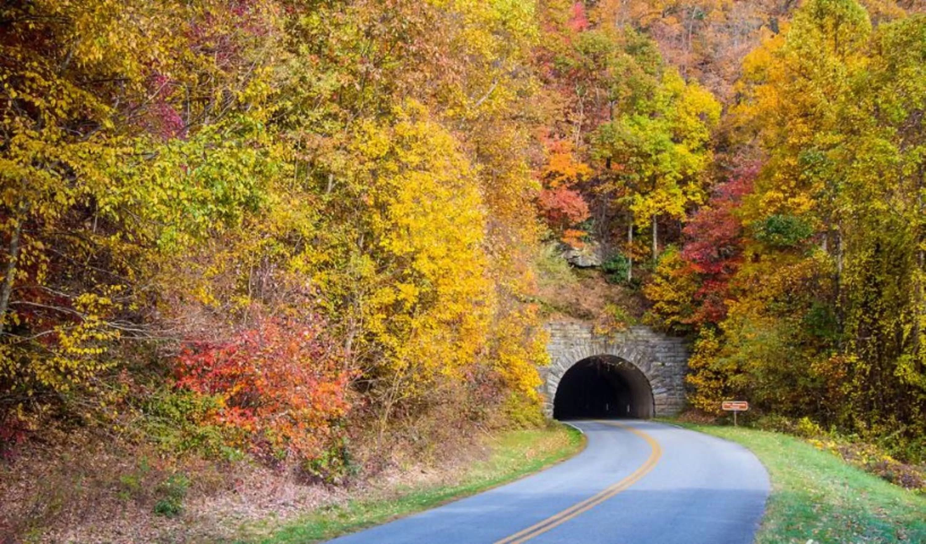 Nearby landmark in Holiday Inn Asheville - Biltmore West by IHG