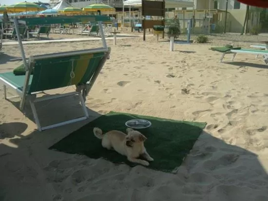 Pets in Residence Costablu