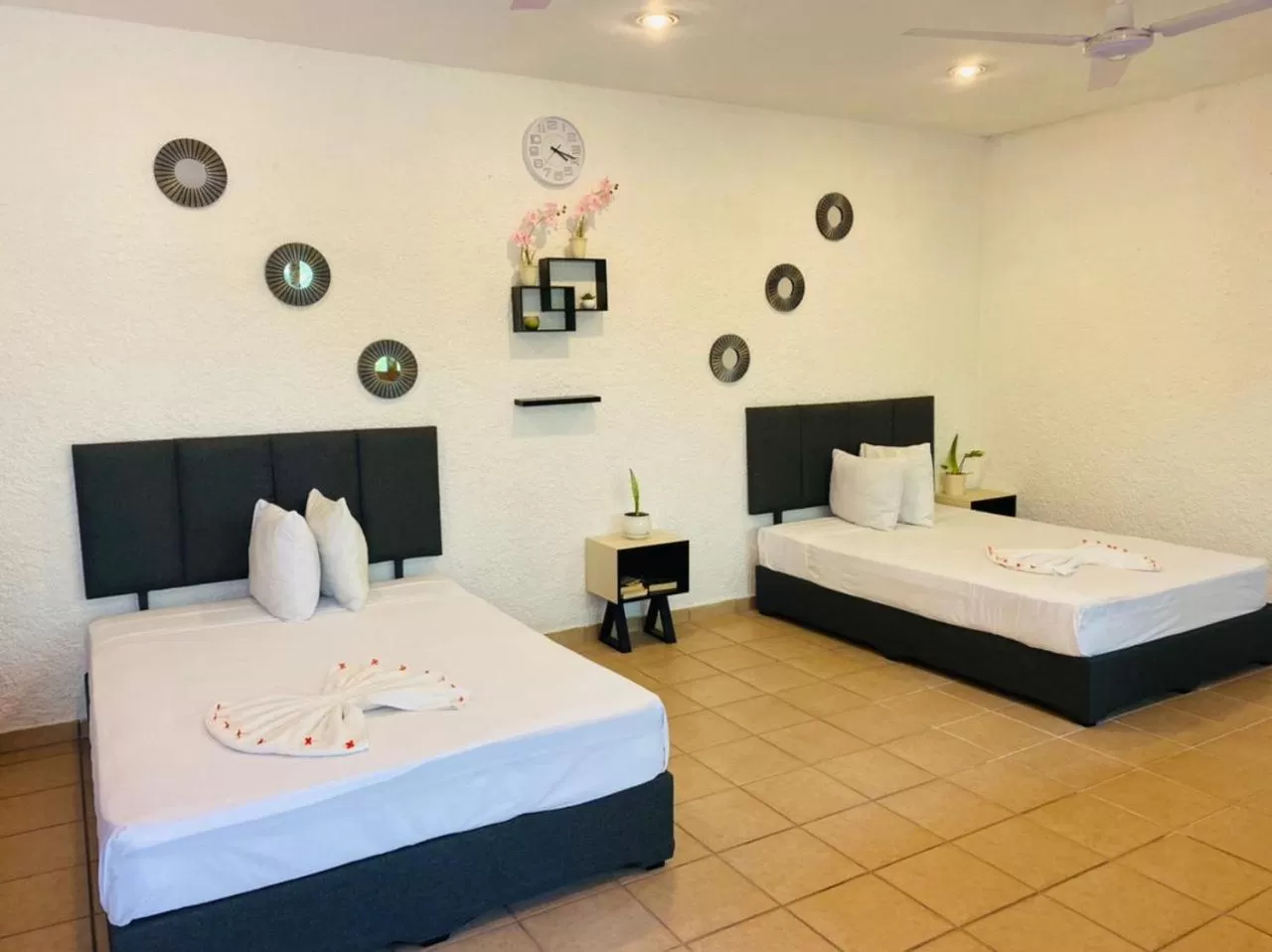 Caribbean Room shared bathroom up to 5 people in Hotel Bosque Caribe, 5th Av. zone